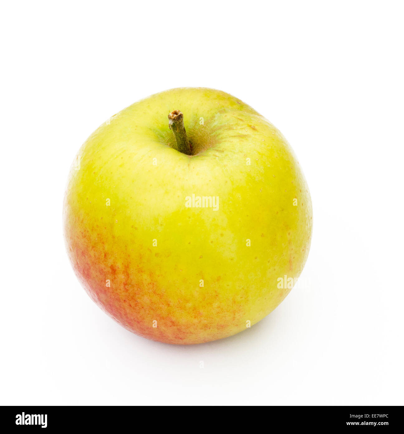 Englische Apfelsorte "Meridian" auf einem weißen Hintergrund, UK Stockfoto