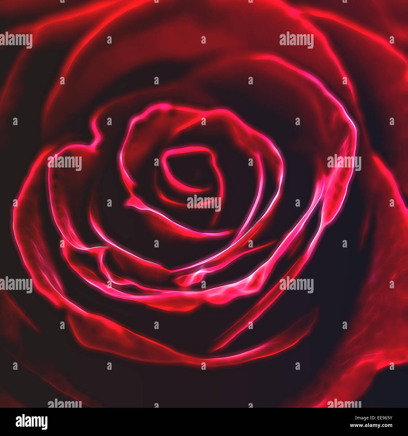 Fraktal. Rote rose in Fraktale design Stockfoto