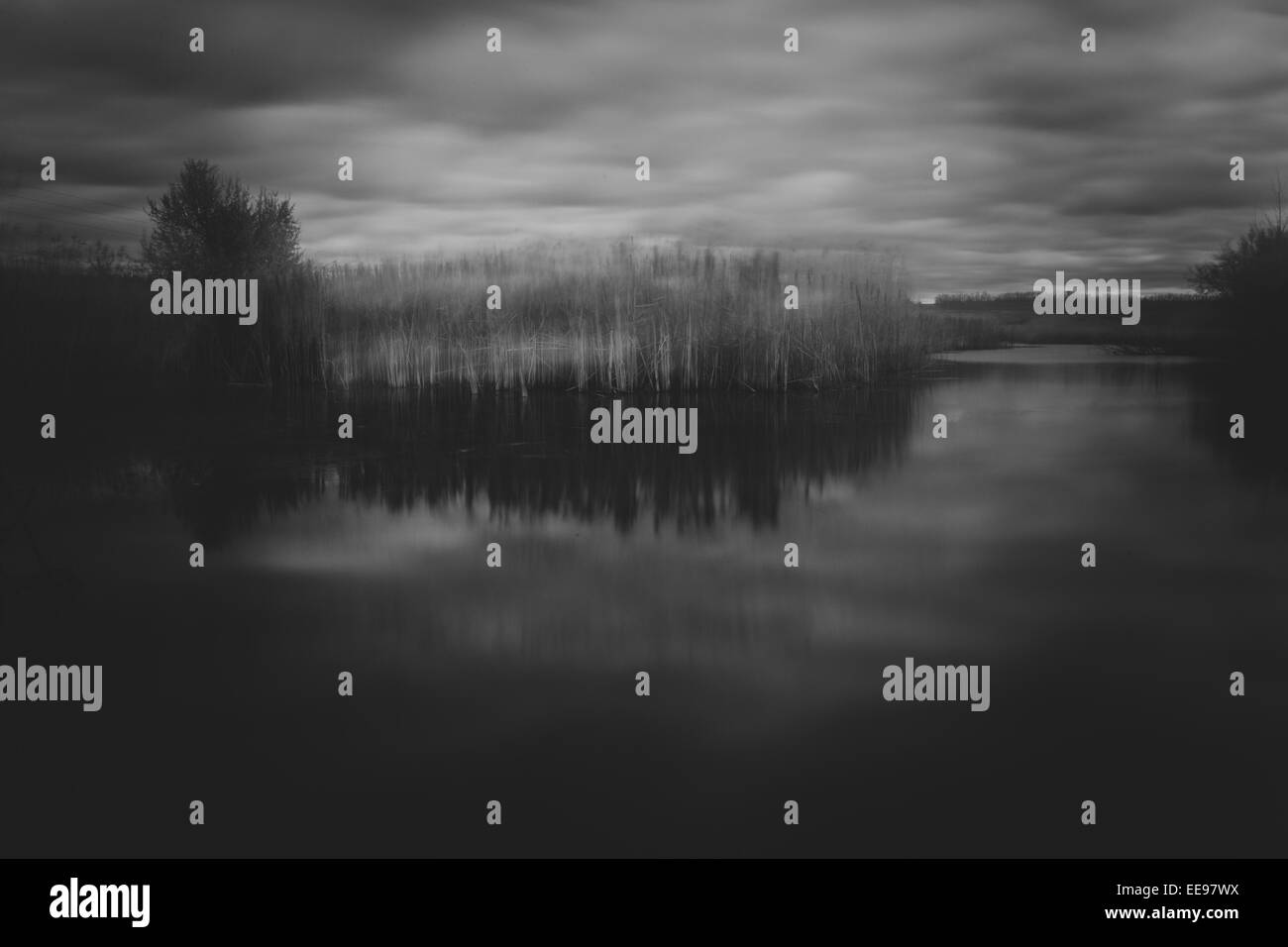 Ein Bild von einem schönen Wald mit Nebel in Bayern Stockfoto