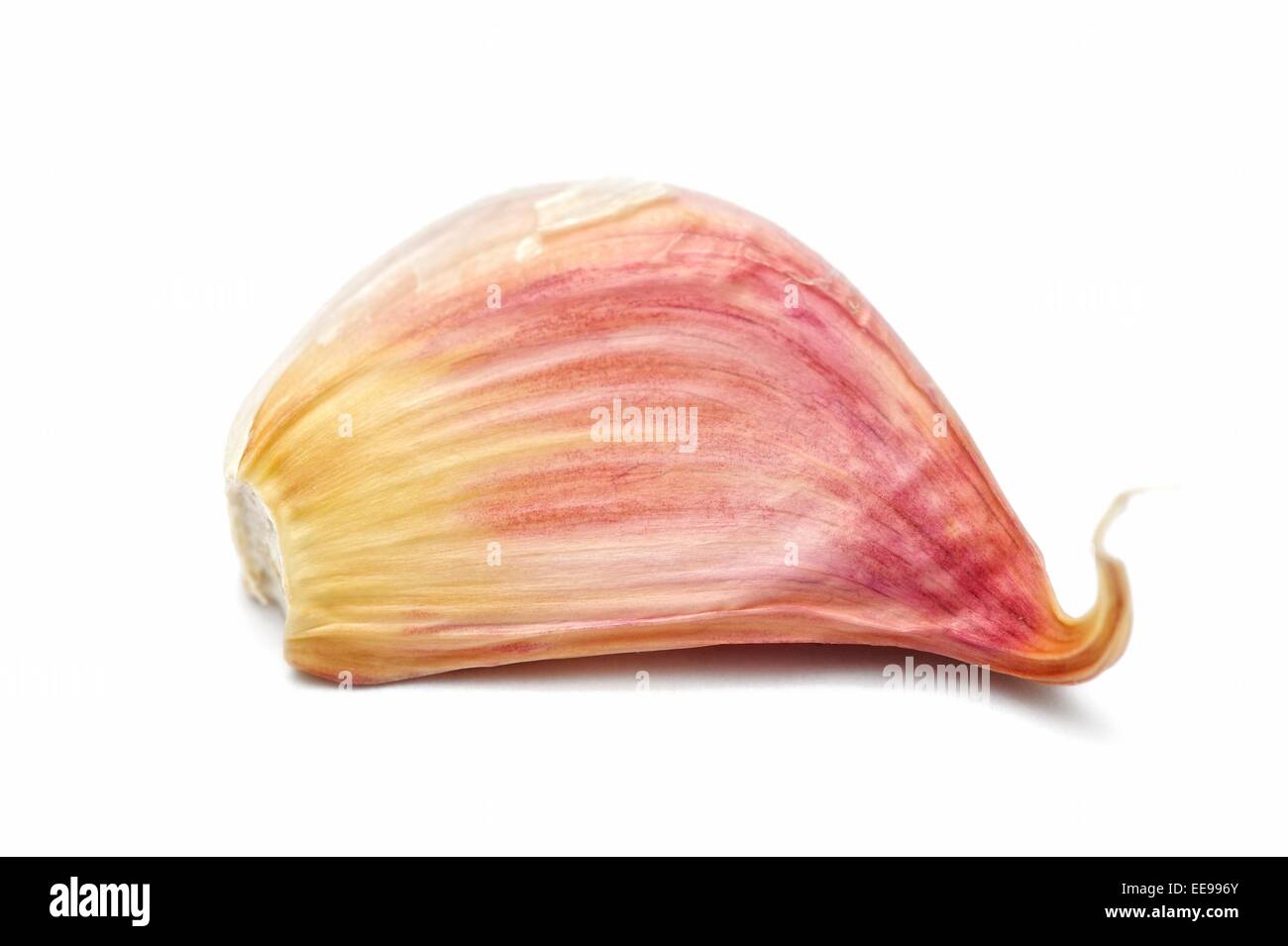 Knoblauchzehe Stockfoto