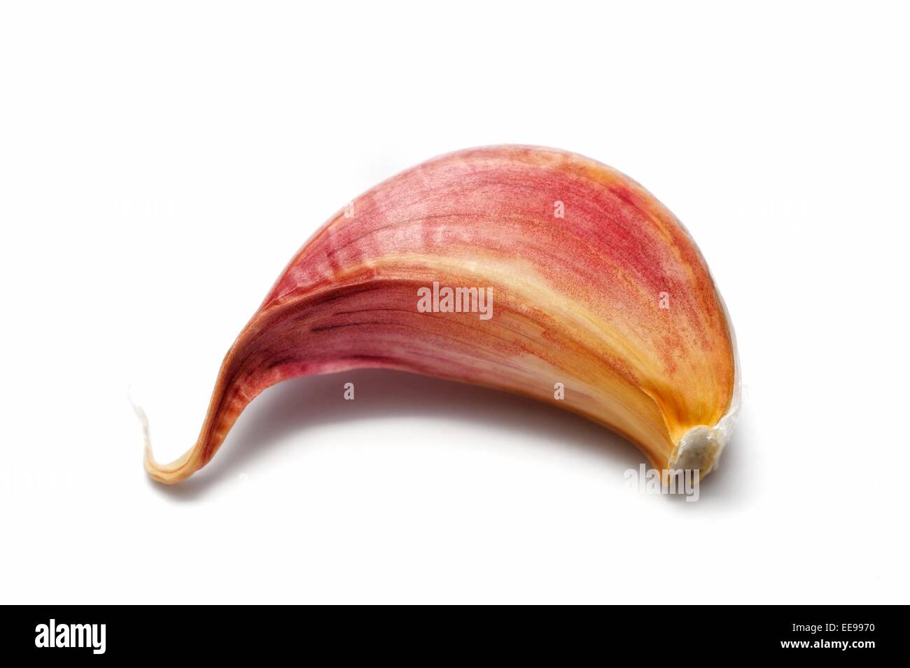 Knoblauchzehe Stockfoto