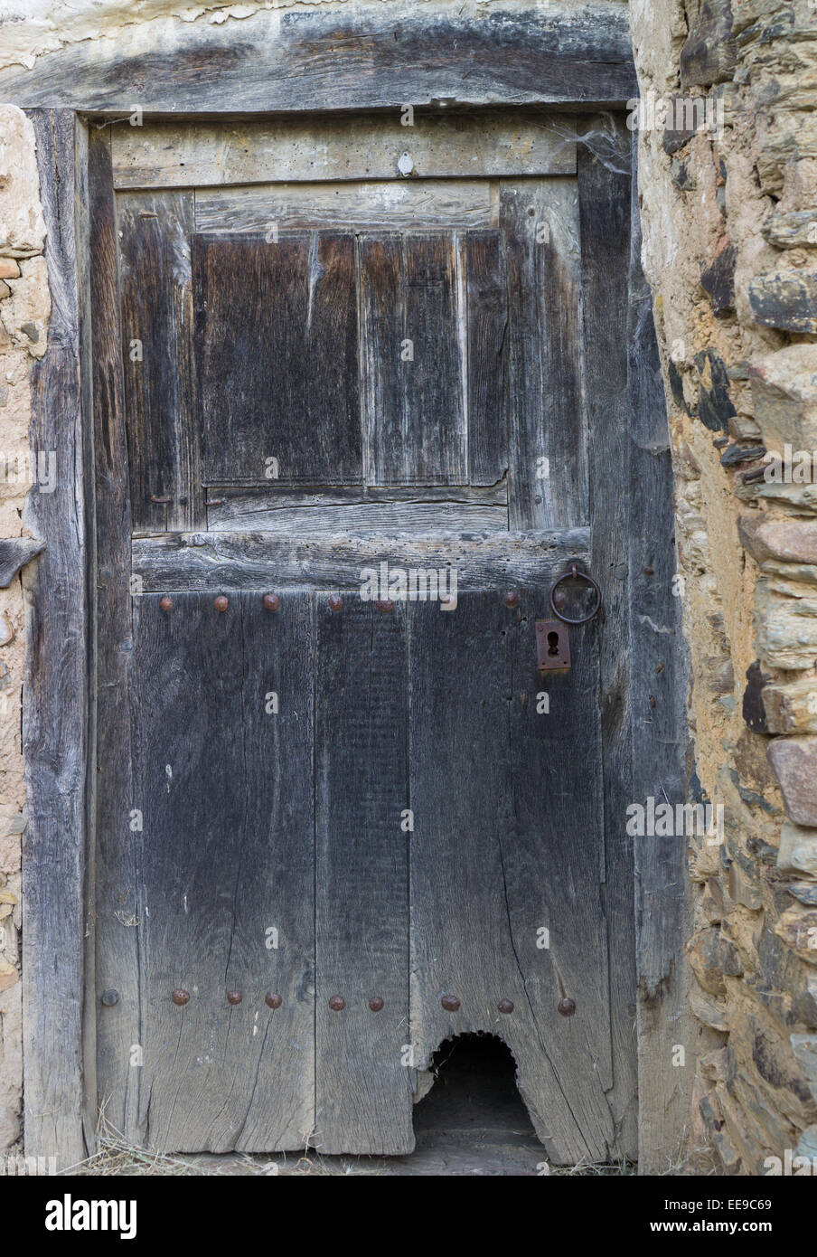 Gesamte alte Holztür mit Cathole (Katzenklappe) Stockfoto