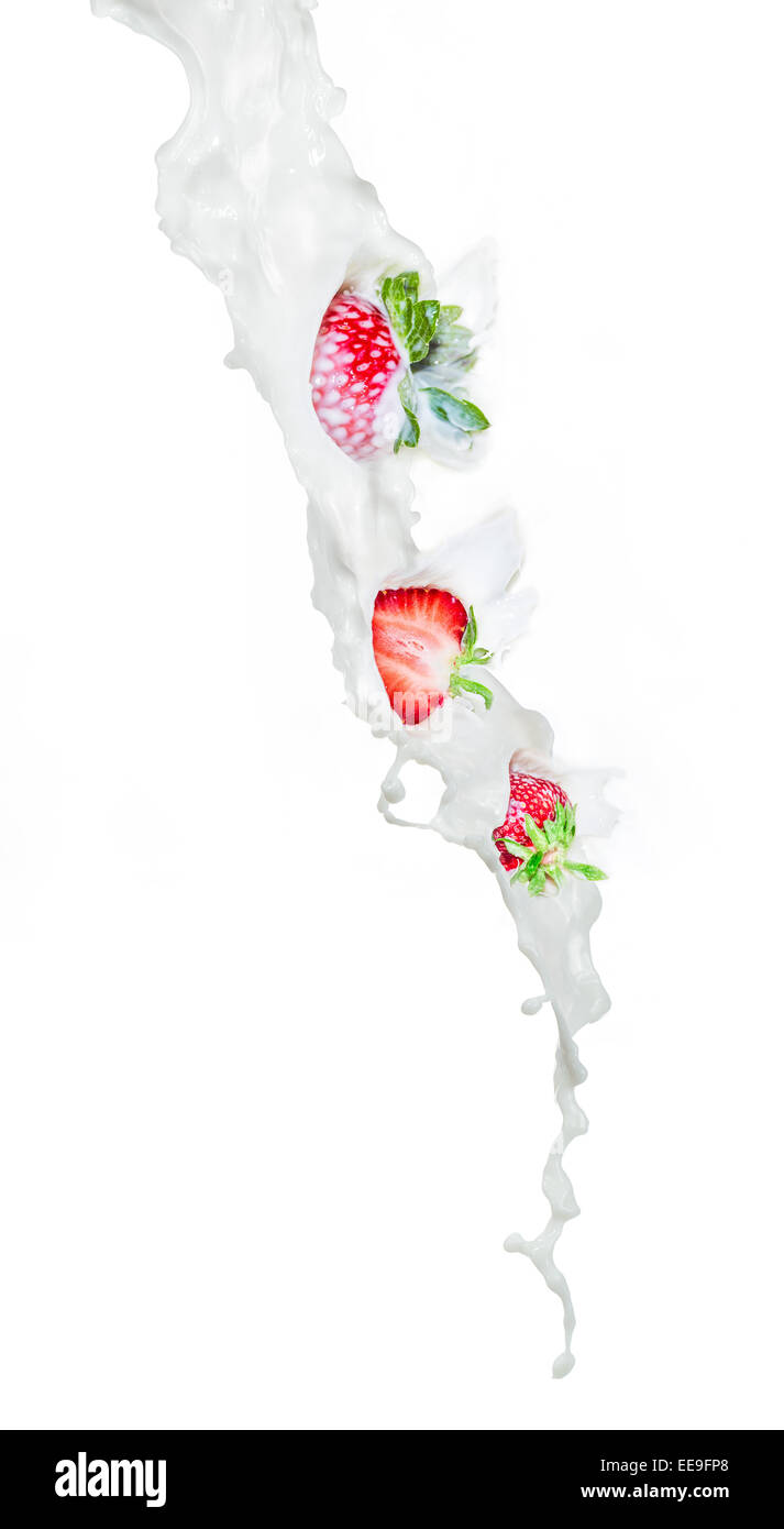 Erdbeeren in Milch spritzt.  Nahaufnahme, auf weißem Hintergrund. Stockfoto