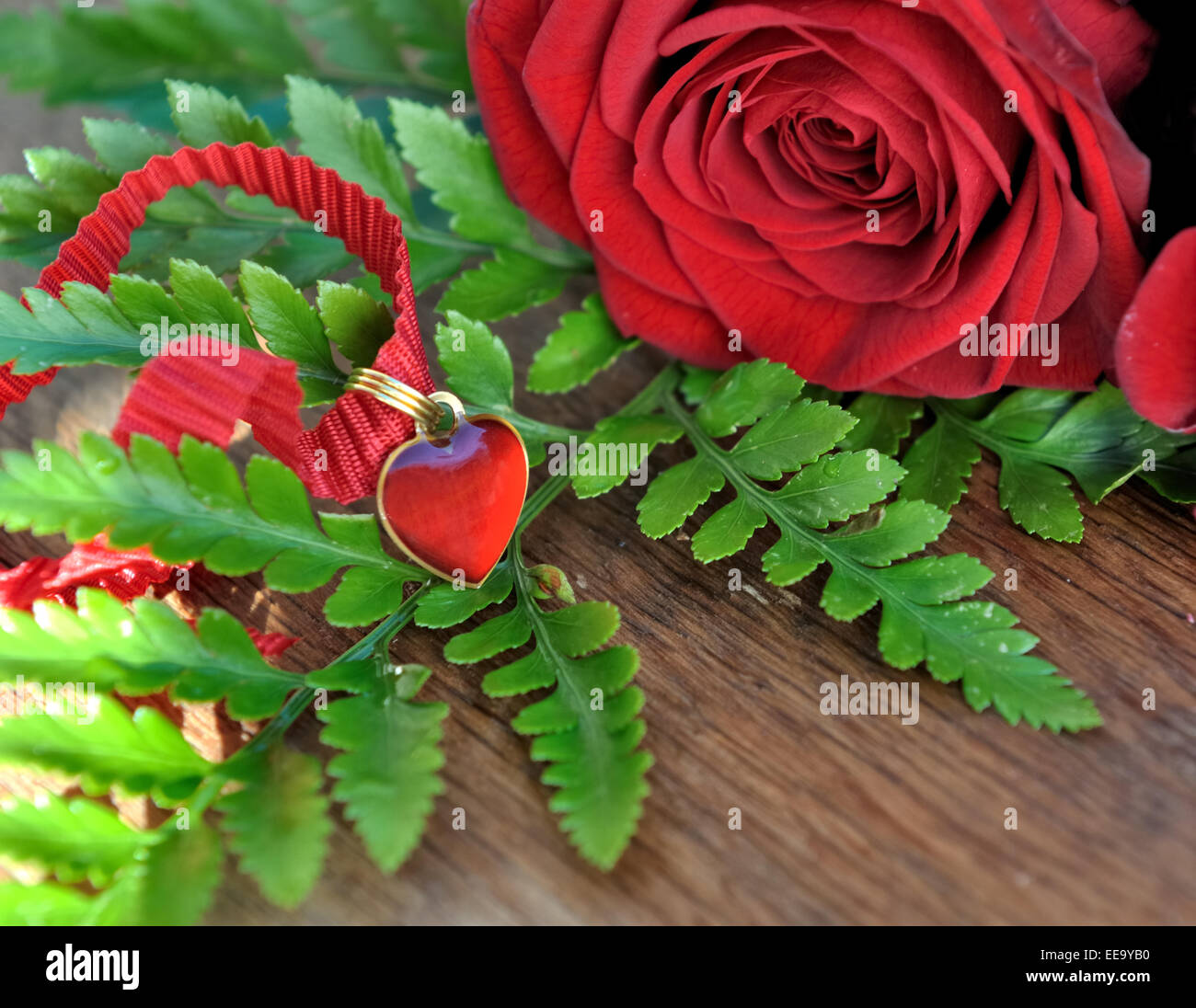 Herz-Anhänger auf Laub mit roten Rosen auf hölzernen Hintergrund Stockfoto