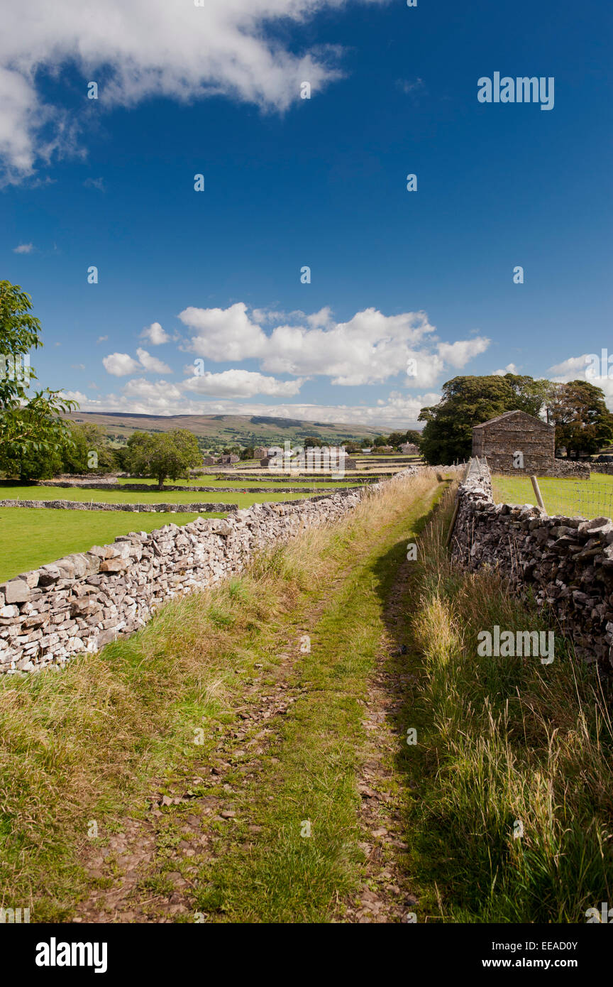 Auf der Suche nach Shaws Gasse in Richtung Burtersett, in der Nähe von Hawes, Wensleydale, Yorkshire, Großbritannien. Stockfoto