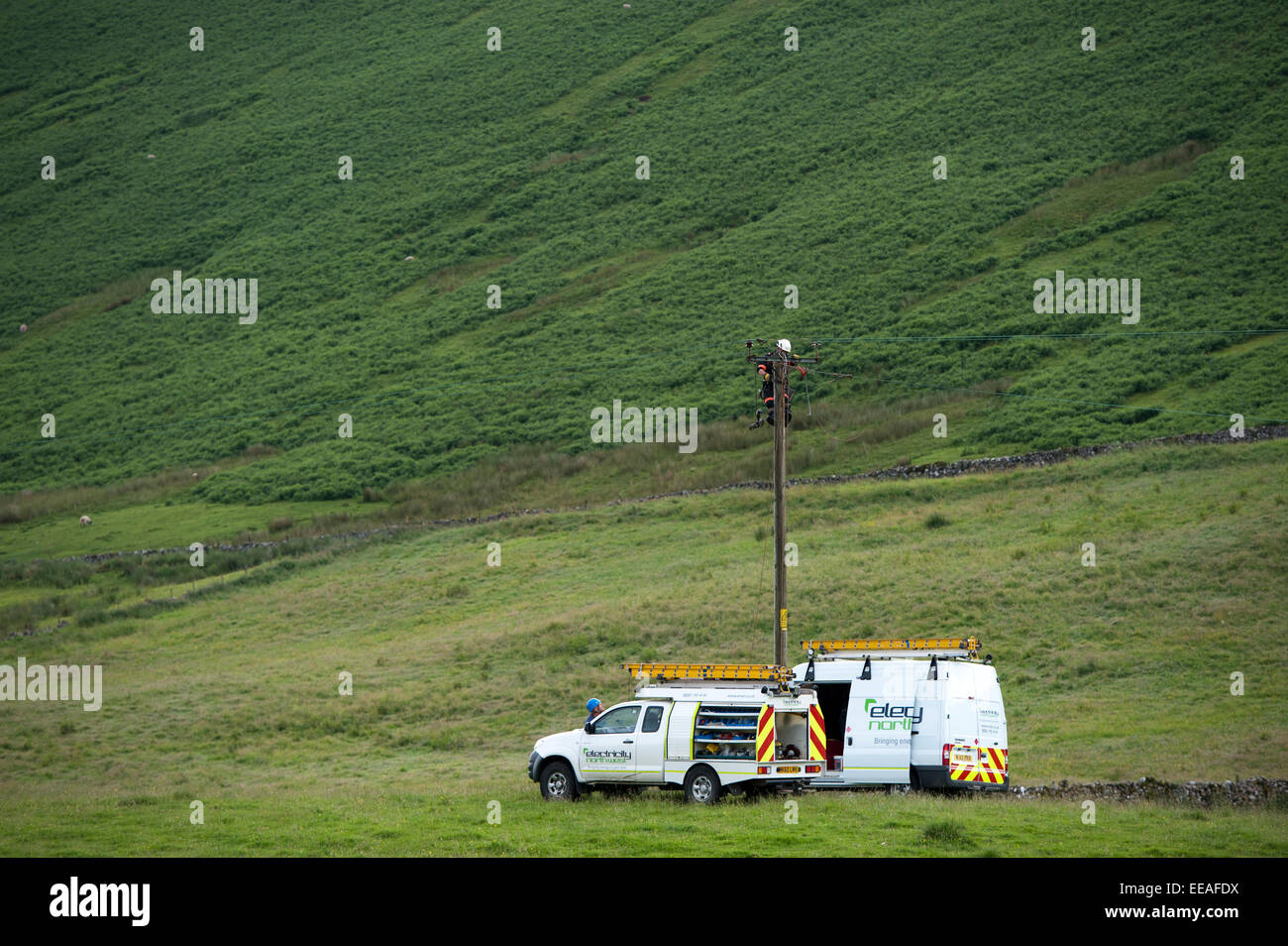Netz elektrischer Techniker reparieren ein Kabel an einem ländlichen Strom Pole, Cumbria, UK. Stockfoto