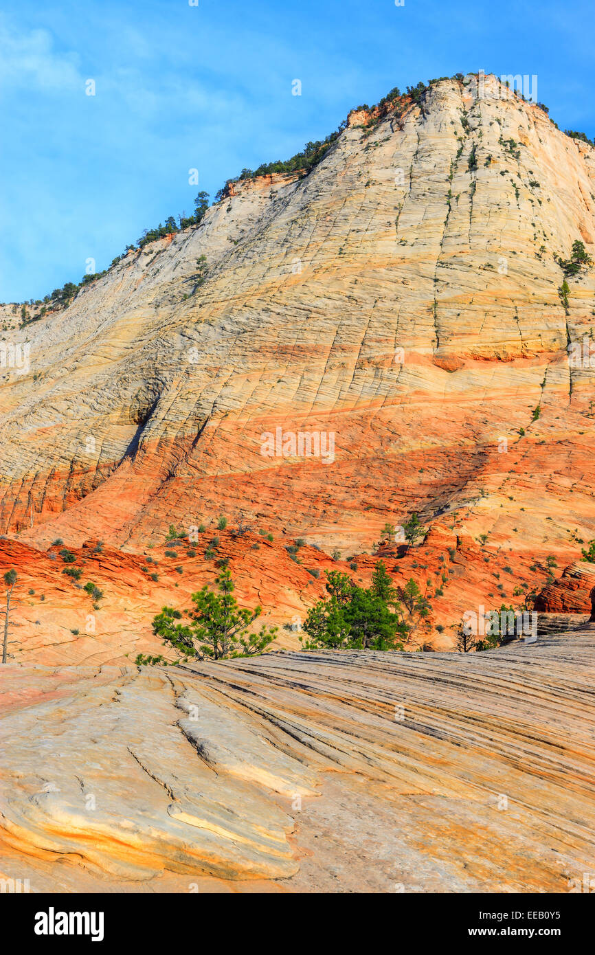 Checkerboard Mesa liegt östlich der Zion Nationalpark, Utah, USA Stockfoto