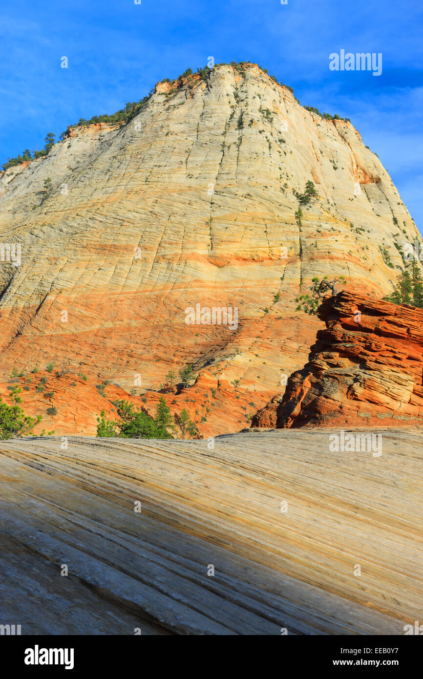 Checkerboard Mesa liegt östlich der Zion Nationalpark, Utah, USA Stockfoto