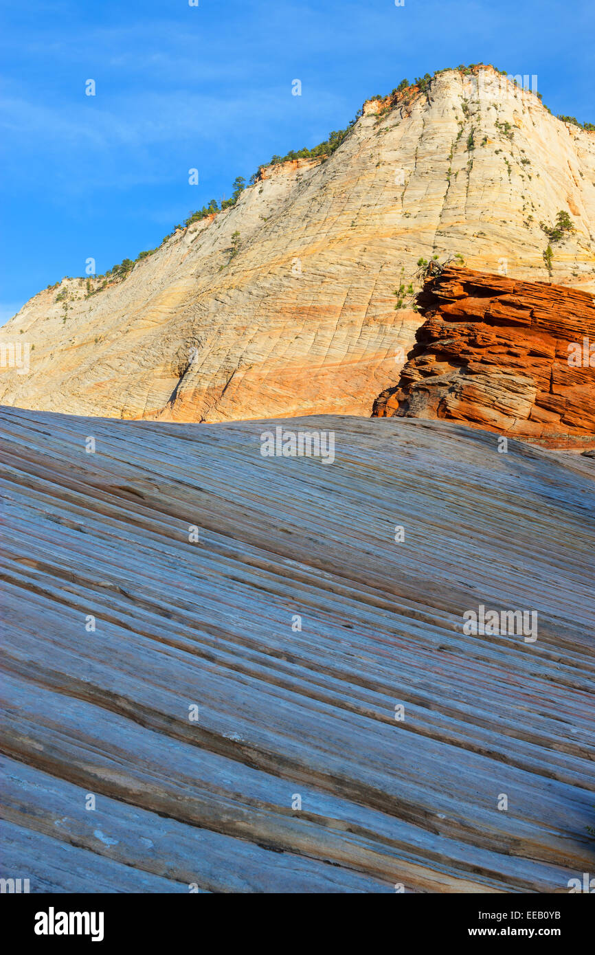 Checkerboard Mesa liegt östlich der Zion Nationalpark, Utah, USA Stockfoto