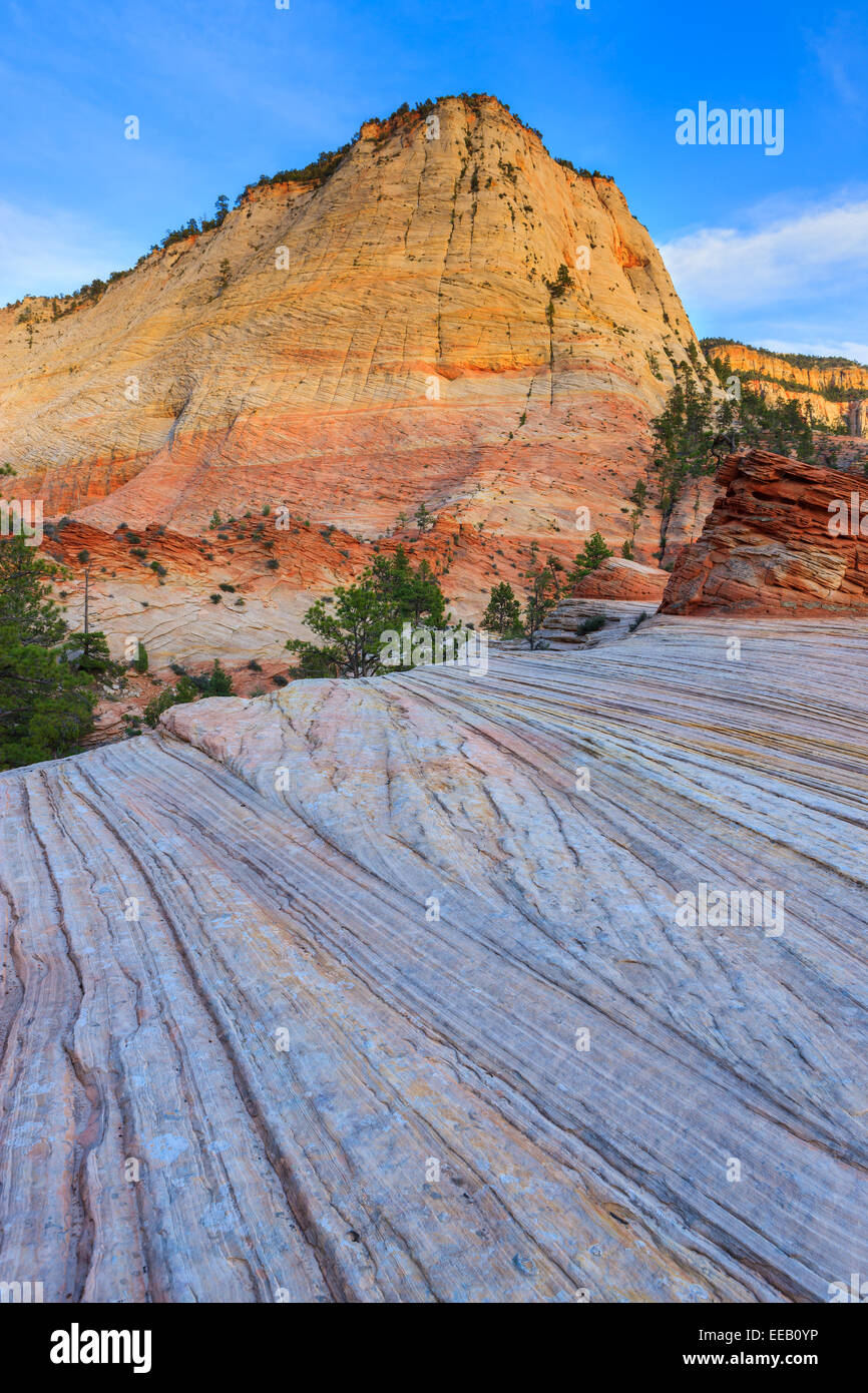 Checkerboard Mesa liegt etwas östlich des Zion Nationalparks. Stockfoto