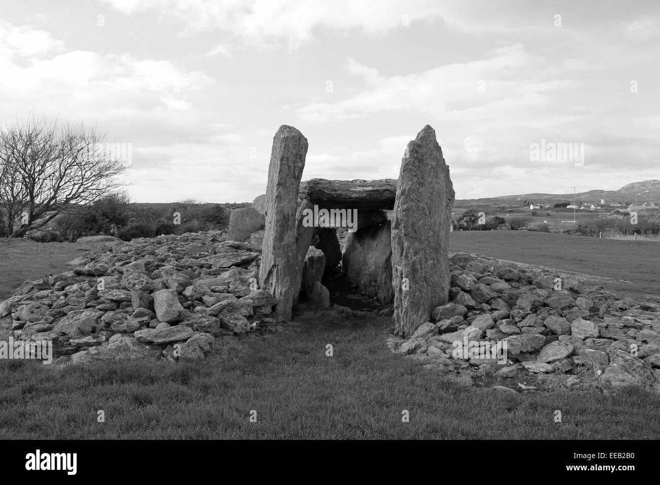 Trefignath Grabkammer, Anglesey Stockfoto