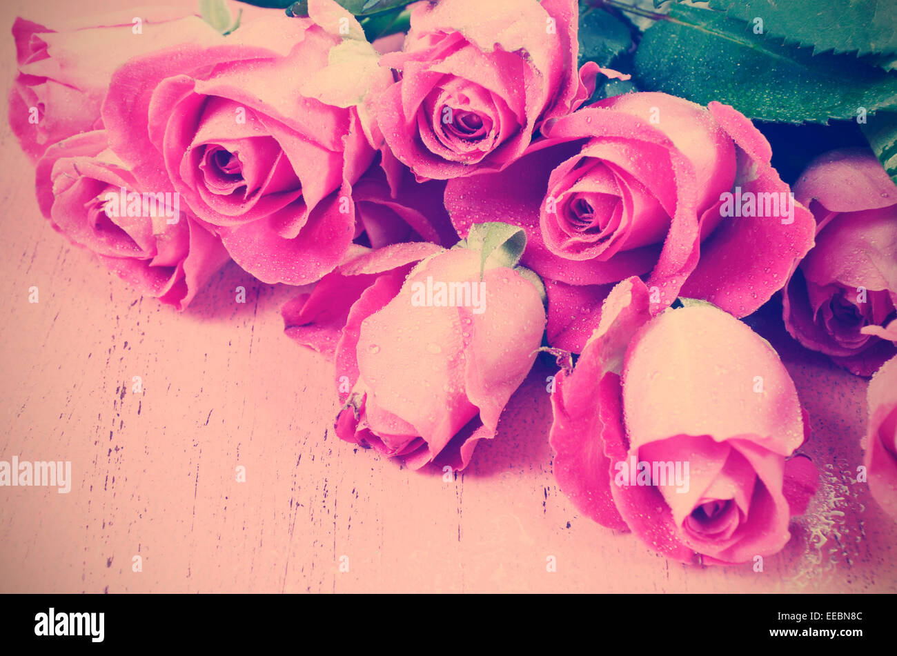 Happy Valentines Day Retro-Vintage-Stil rosa Rosen auf rosa Holz Hintergrund. Stockfoto