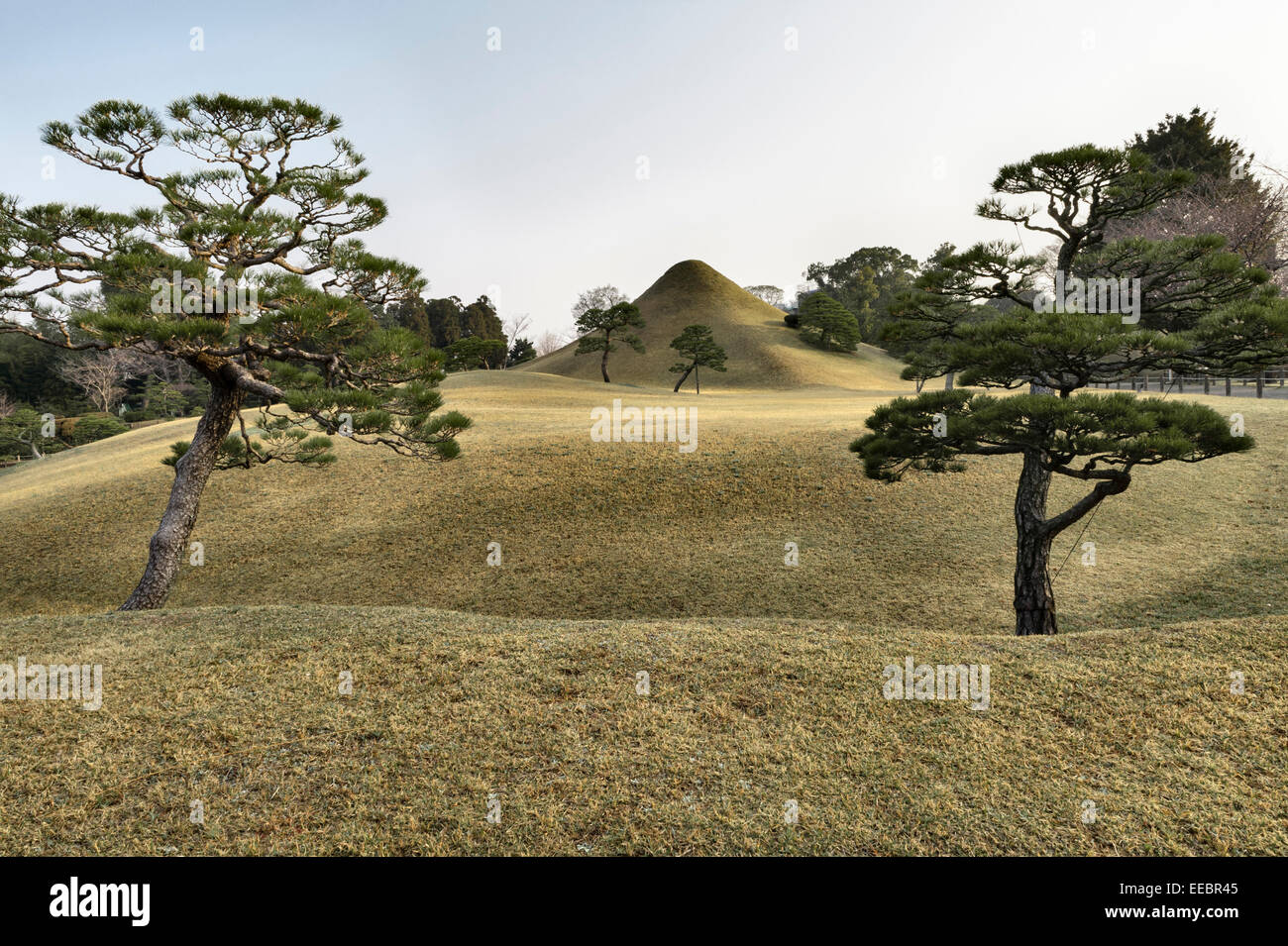 Kumamoto, Kyushu, Japan. Der Garten von Suizen-JI Joju-en wurde 1632 eröffnet. Landschaft mit einer Nachbildung des Mount Fuji und Miniaturkiefern Stockfoto