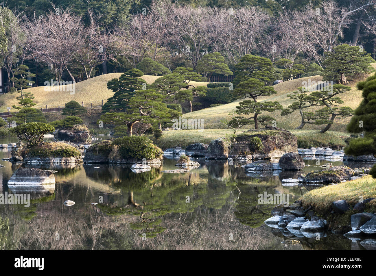 Kumamoto, Kyushu, Japan. Der Spaziergang Garten Suizen-Ji Joju-En, begonnen im Jahre 1632. Kiefern, die beschnitten werden, um eine Illusion von Skala zu geben Stockfoto