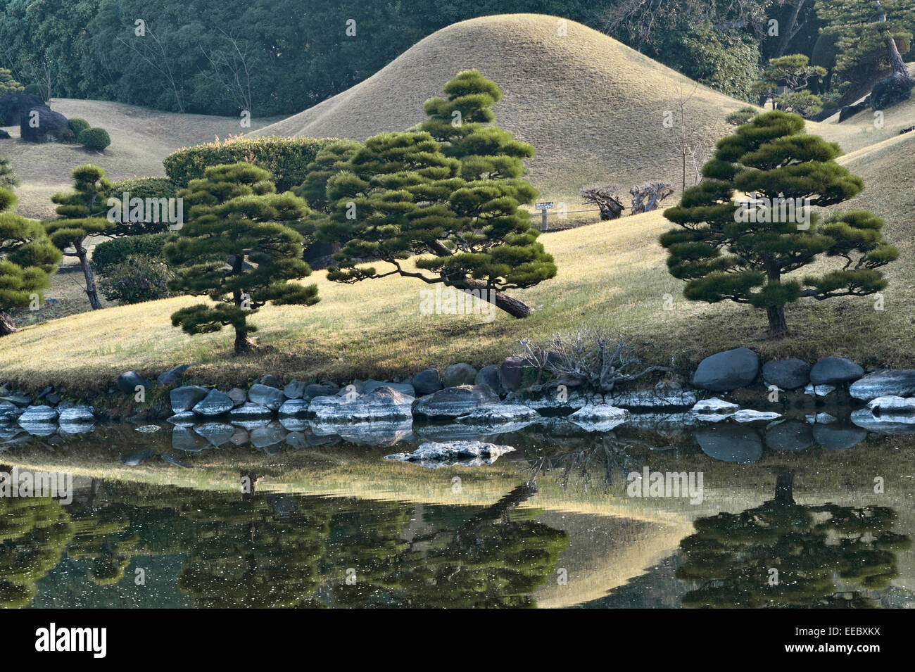 Kumamoto, Kyushu, Japan. Der Spaziergang Garten Suizen-Ji Joju-En, begonnen im Jahre 1632. Kiefern, die beschnitten werden, um eine Illusion von Skala zu geben Stockfoto