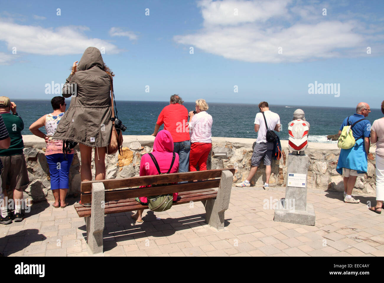 Touristen in Hermanus in Südafrika Southern Right Wale im Meer beobachten. Stockfoto