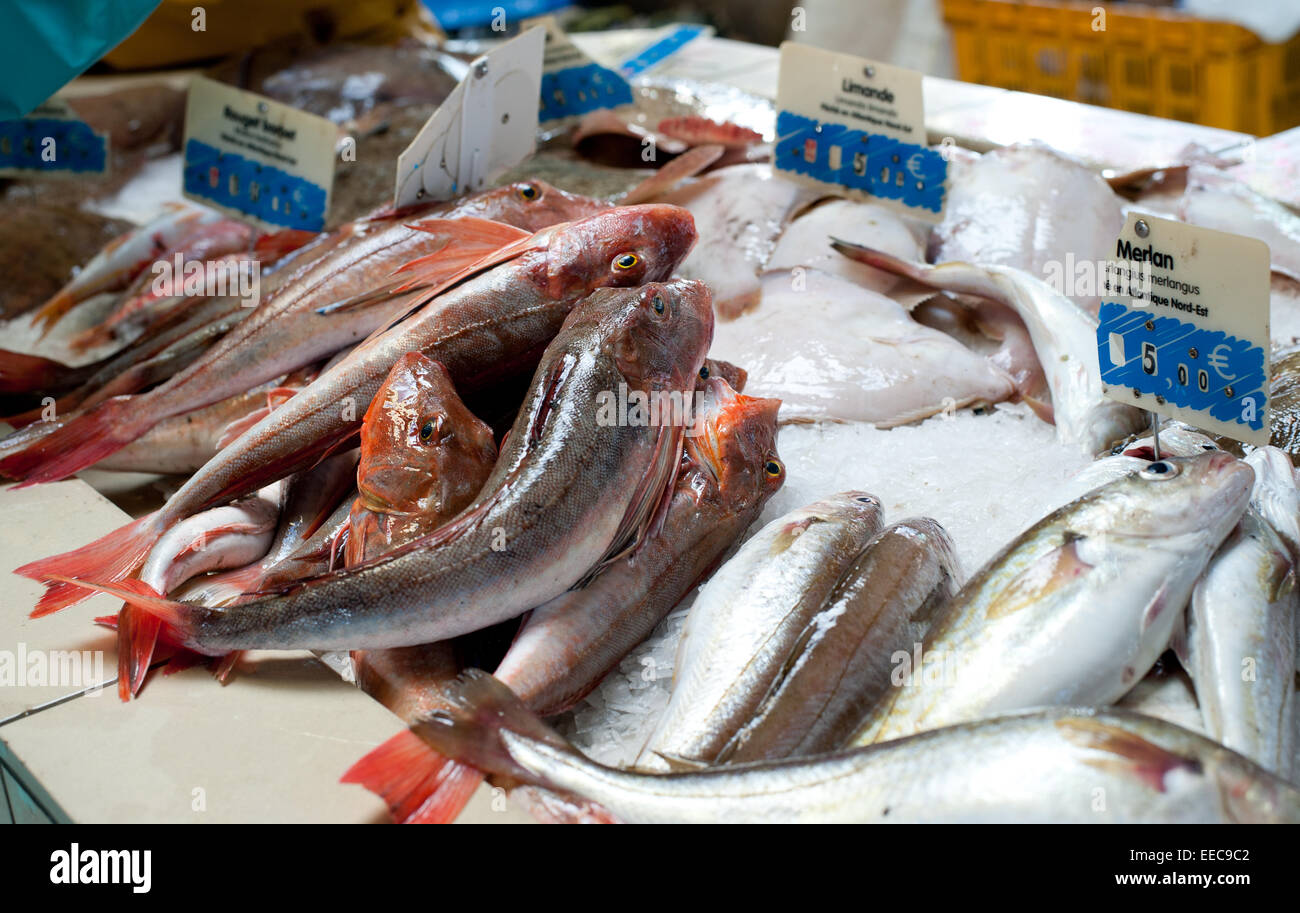 Frischfisch auf Eis auf dem Landmarkt Stockfoto