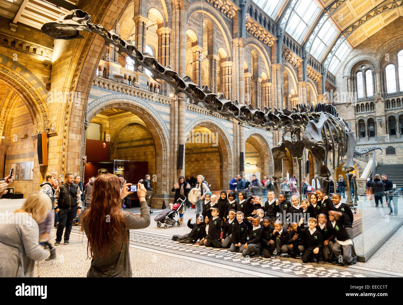 Natural History Museum London Diplodocus; Kinder auf Klassenfahrt am Natural History Museum, London, England, Großbritannien Stockfoto