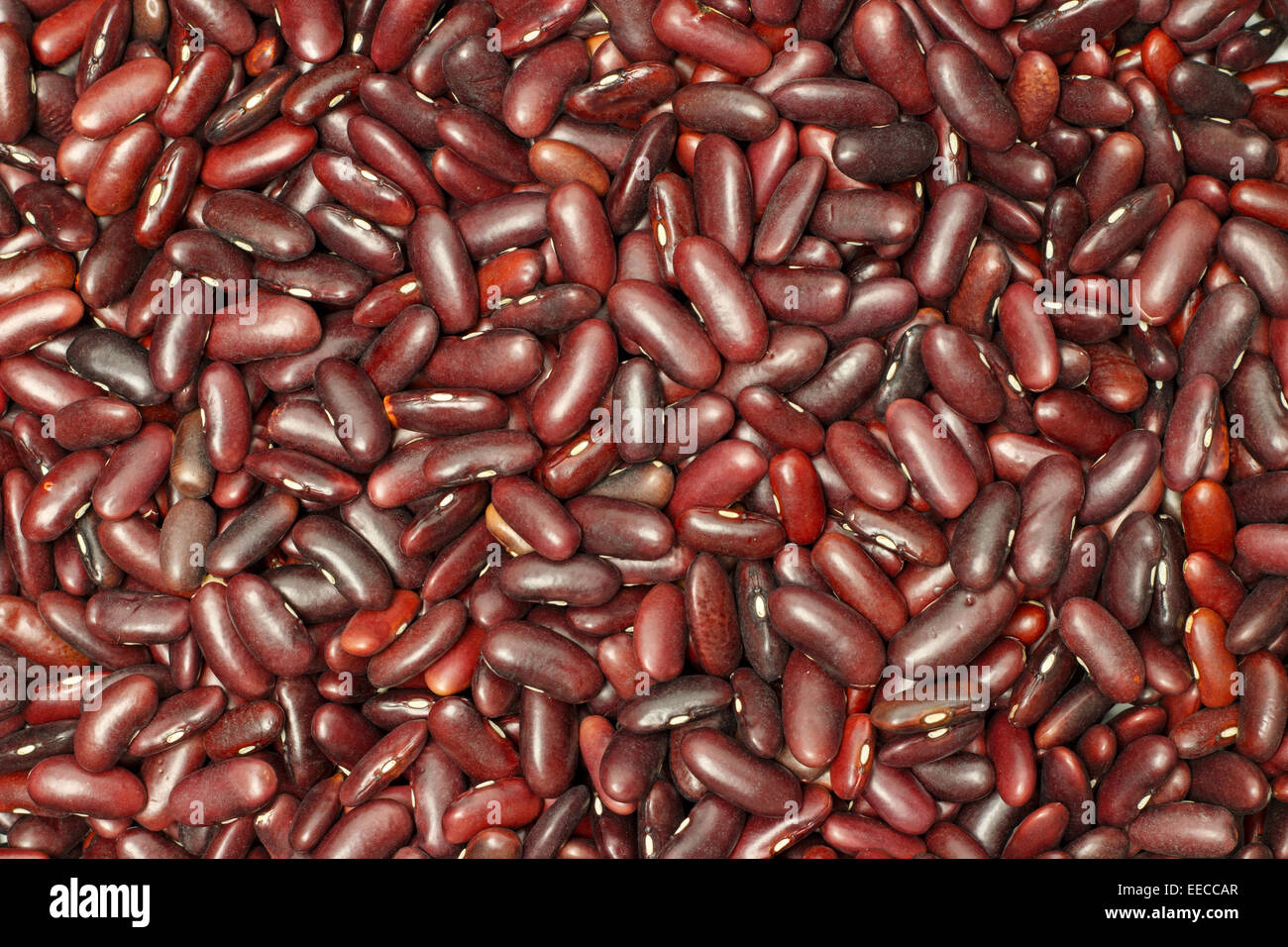 Draufsicht Hintergrund rote Kidneybohnen Stockfoto