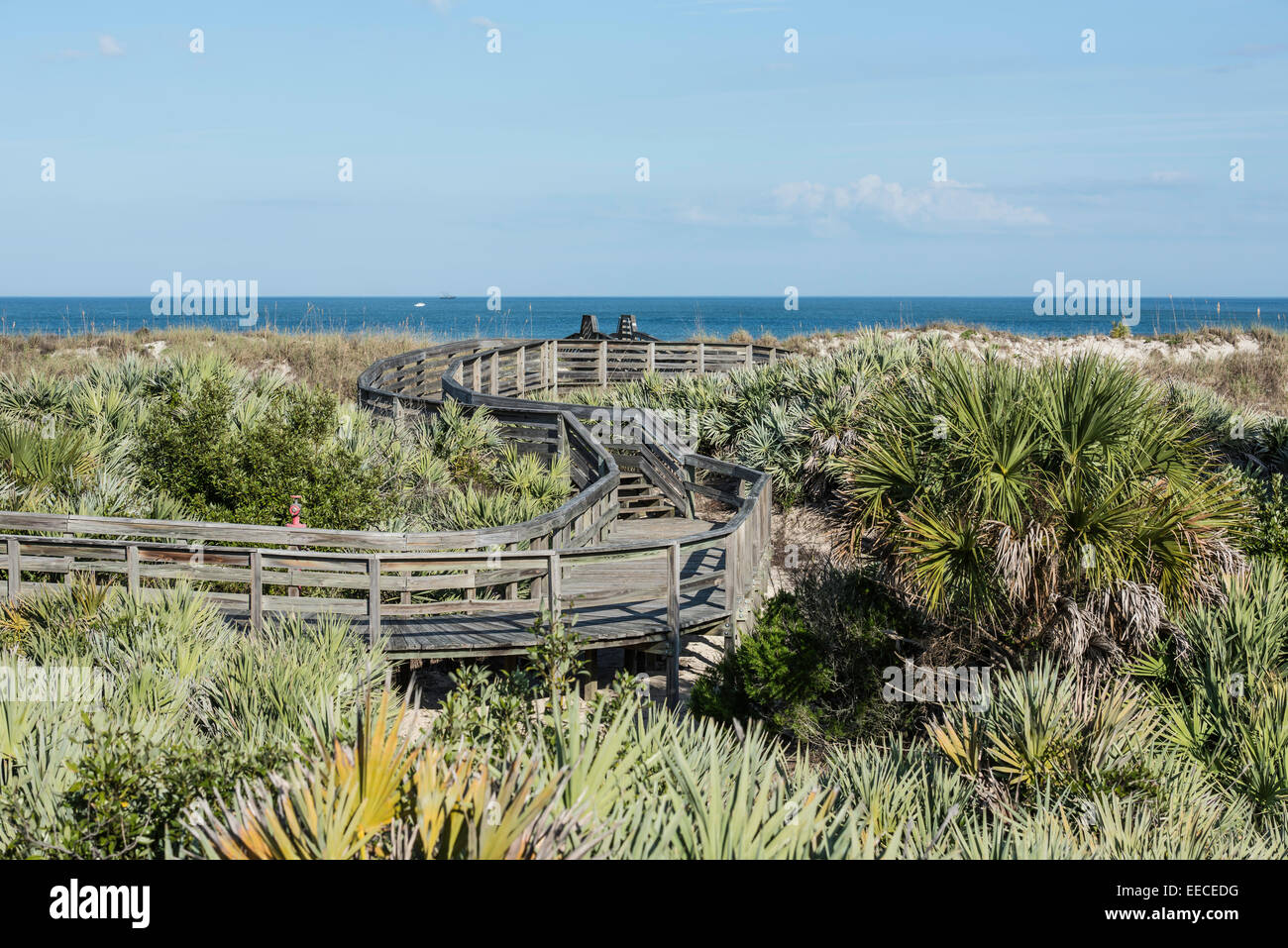Hölzerne Serpentinenpromenade schlängelt sich durch den Küstenlebensraum mit Sanddünen, sah Palmtos und Seeoats mit dem Ozean im Hintergrund, Daytonas Beach. Stockfoto