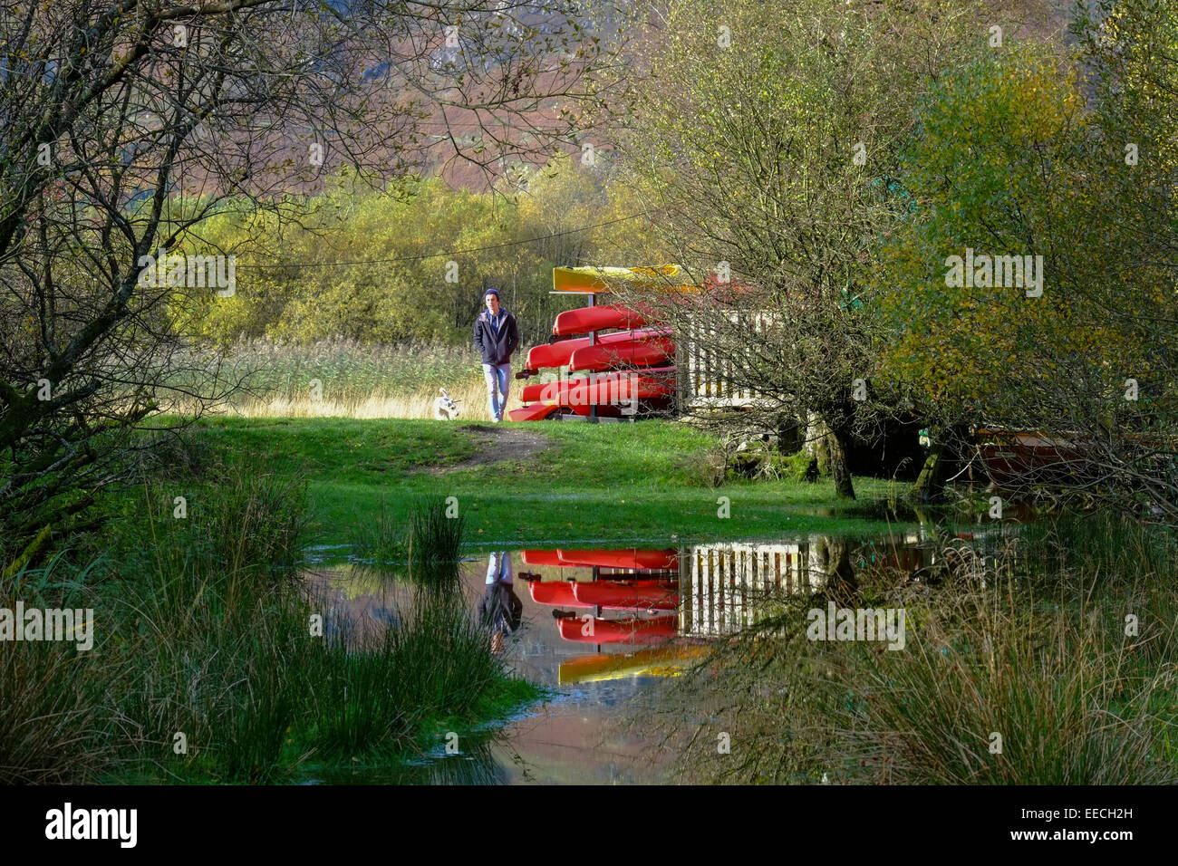 Cumbria, England: Mann zu Fuß Hund neben roten Boote am Derwent Water im Lake District Stockfoto