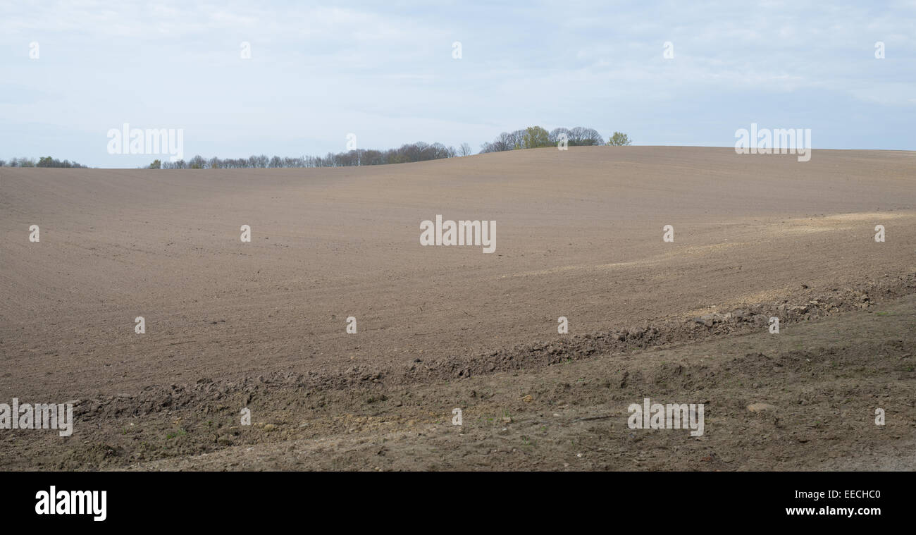 Landschaft mit einem großen Feld und gepflügten Boden im Frühjahr Stockfoto