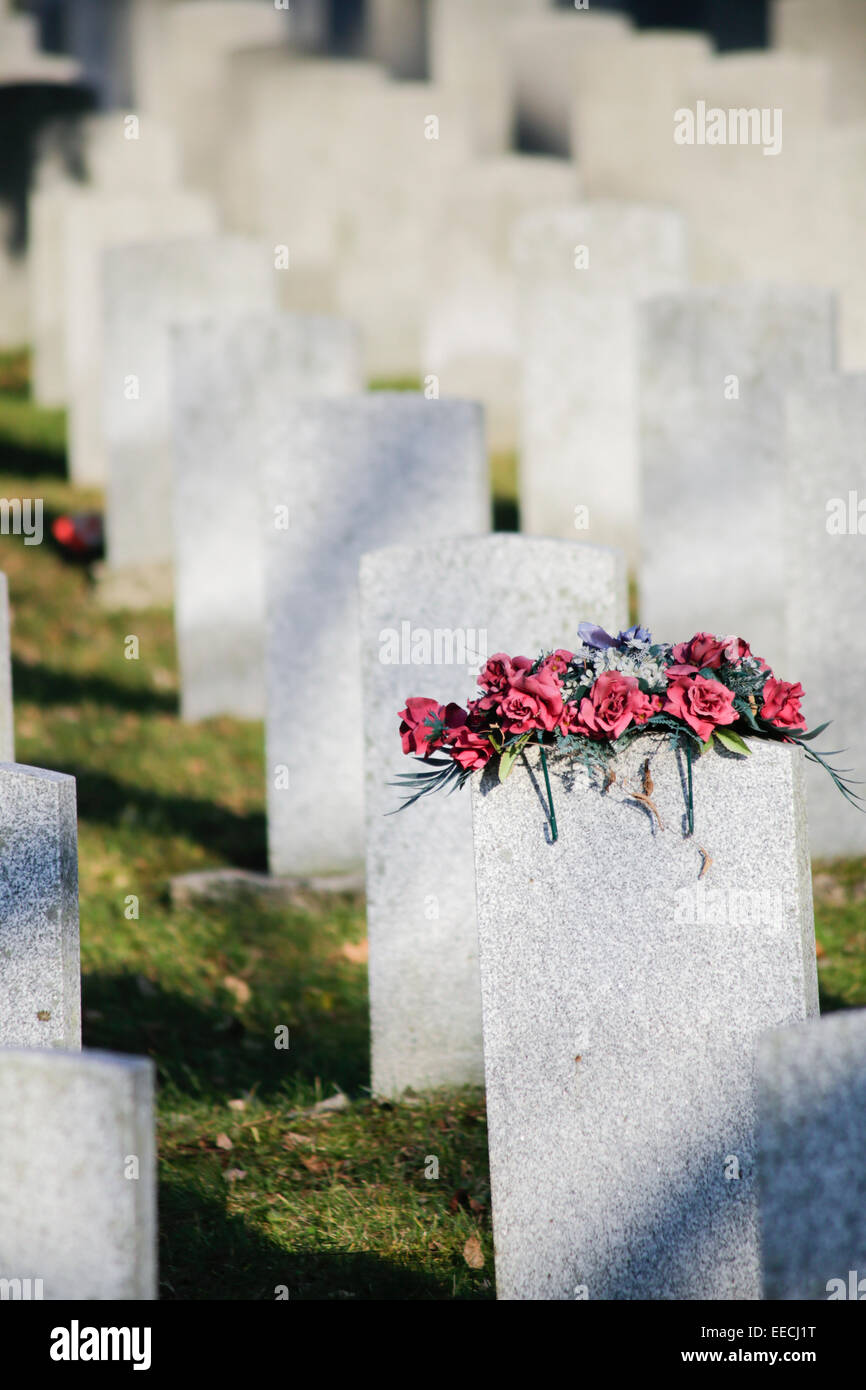 Blumen auf ein Soldat Grabstein Stockfoto