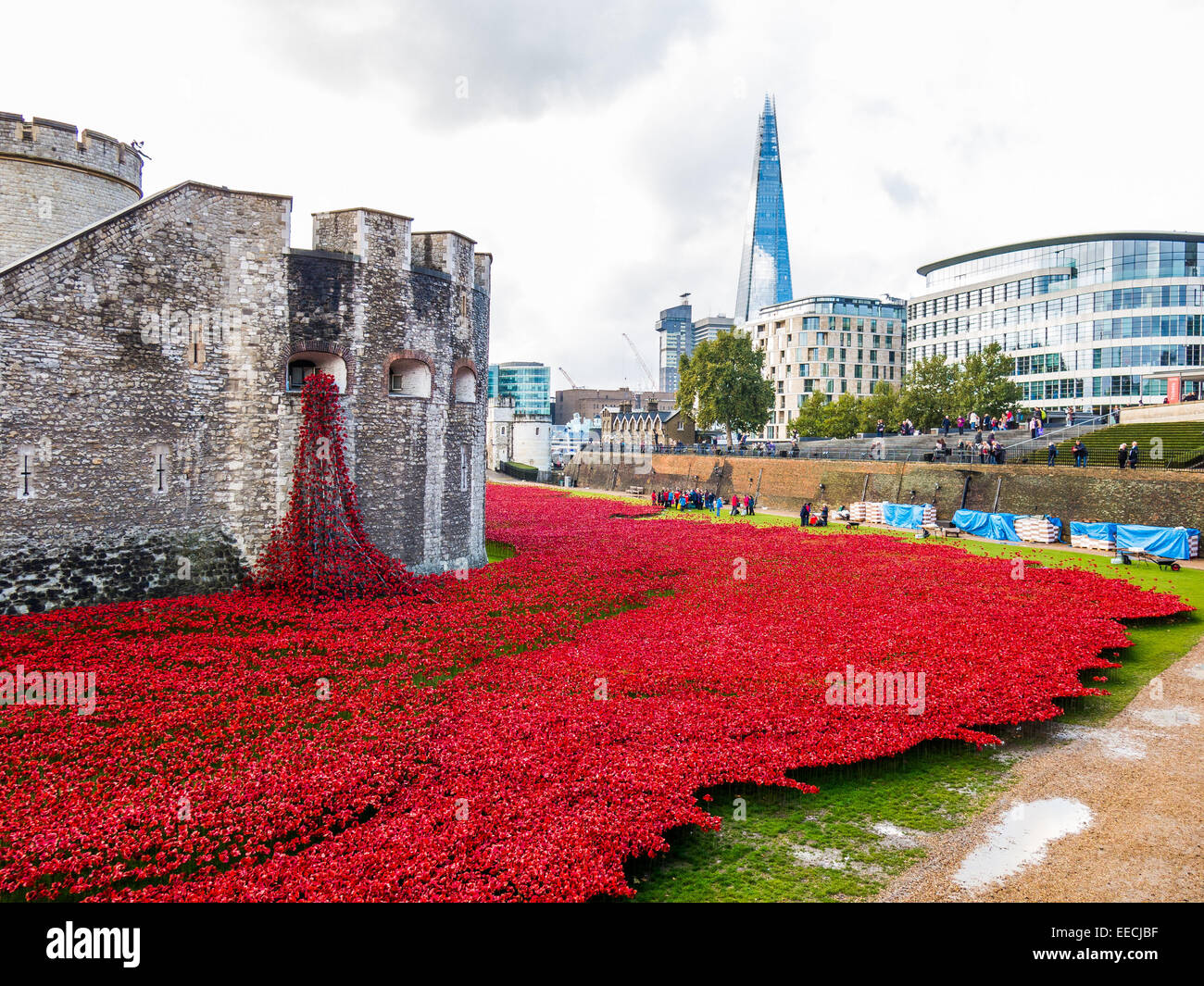 Keramik Mohn außerhalb des Tower of London um 100 Jahre seit dem Beginn des ersten Weltkriegs zu gedenken Stockfoto