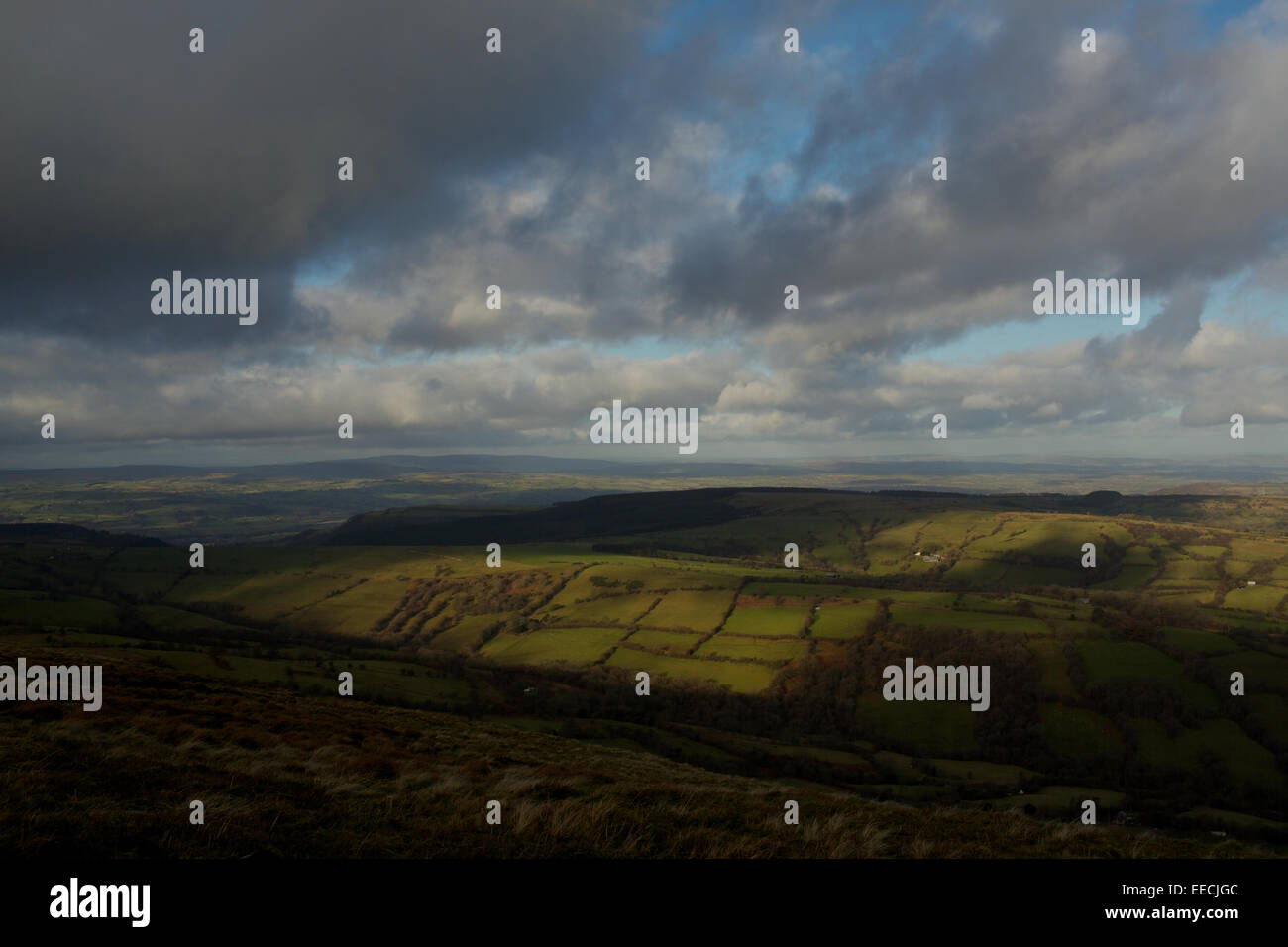 Katzenauge zurück in die schwarzen Berge, Brecon Beacons, Wales/England Boarder, UK, EU Grat. Stockfoto