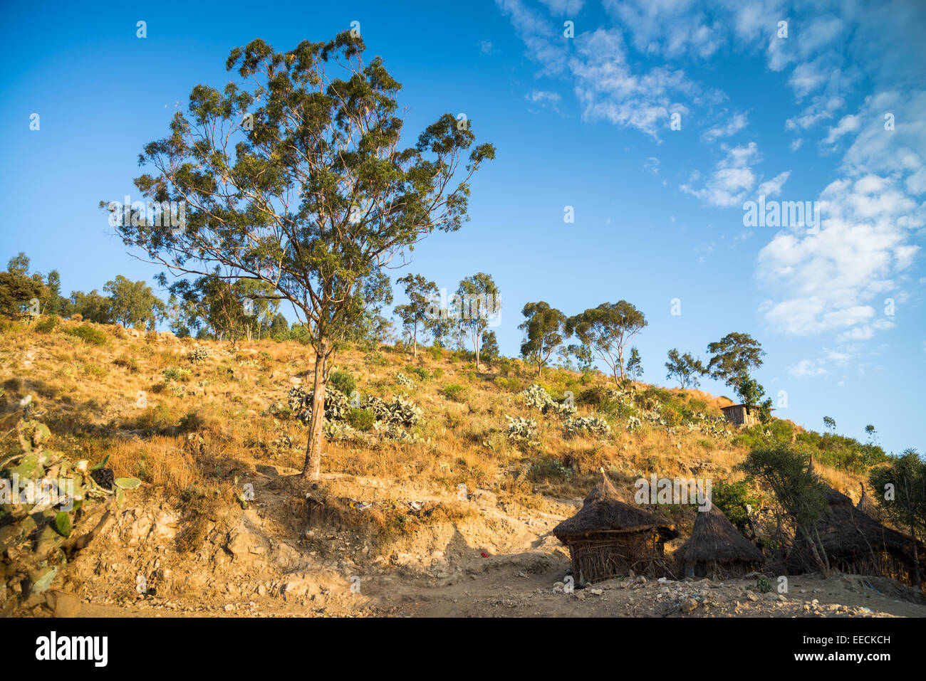 Landschaft in der Nähe von Mekele, Ethoipia, Afrika. Stockfoto
