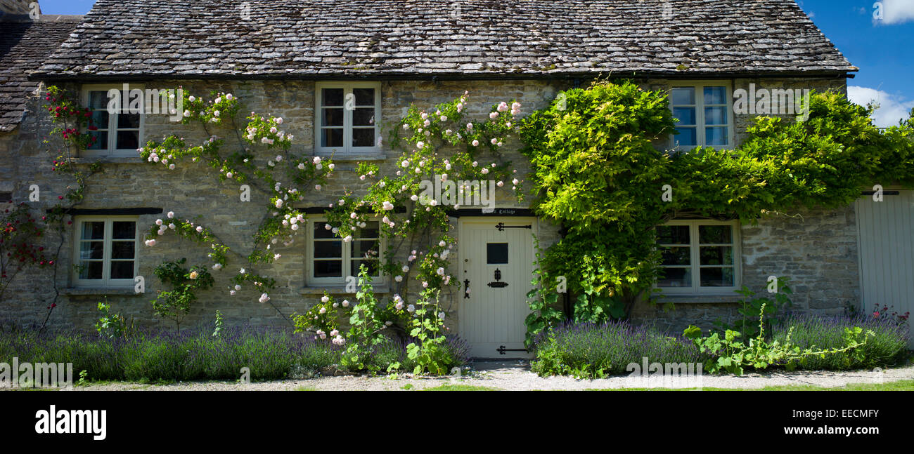 Urige traditionelle Rose bewachsenen Hütte in Minster Lovell in Cotswolds, Oxfordshire, Vereinigtes Königreich Stockfoto