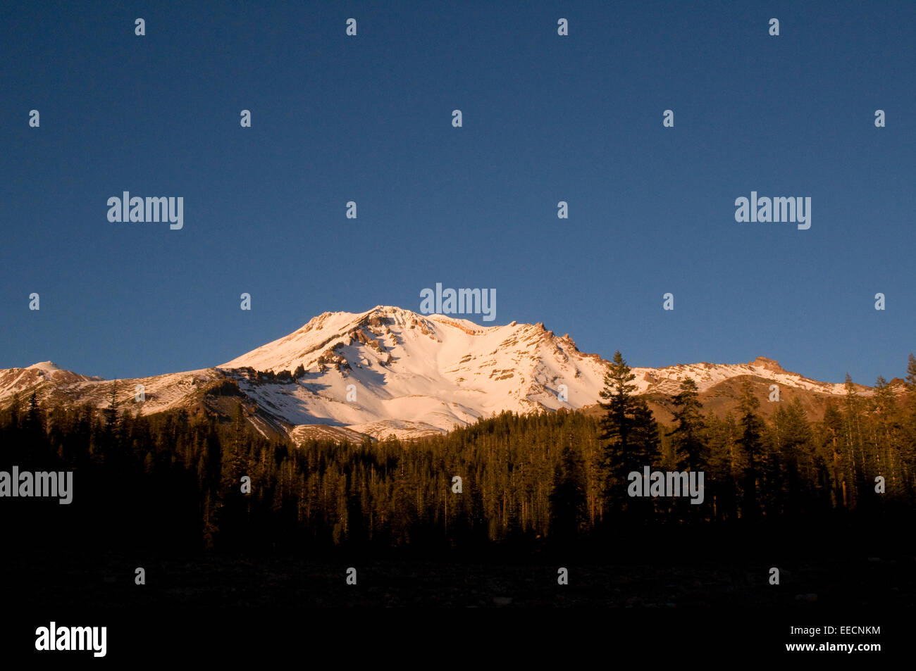 Mount Shasta bei Sonnenuntergang Kalifornien USA. Mount Shasta ist eine Stadt in Siskiyou County, Kalifornien, etwa 3.600 Fuß (1.100 m) Stockfoto