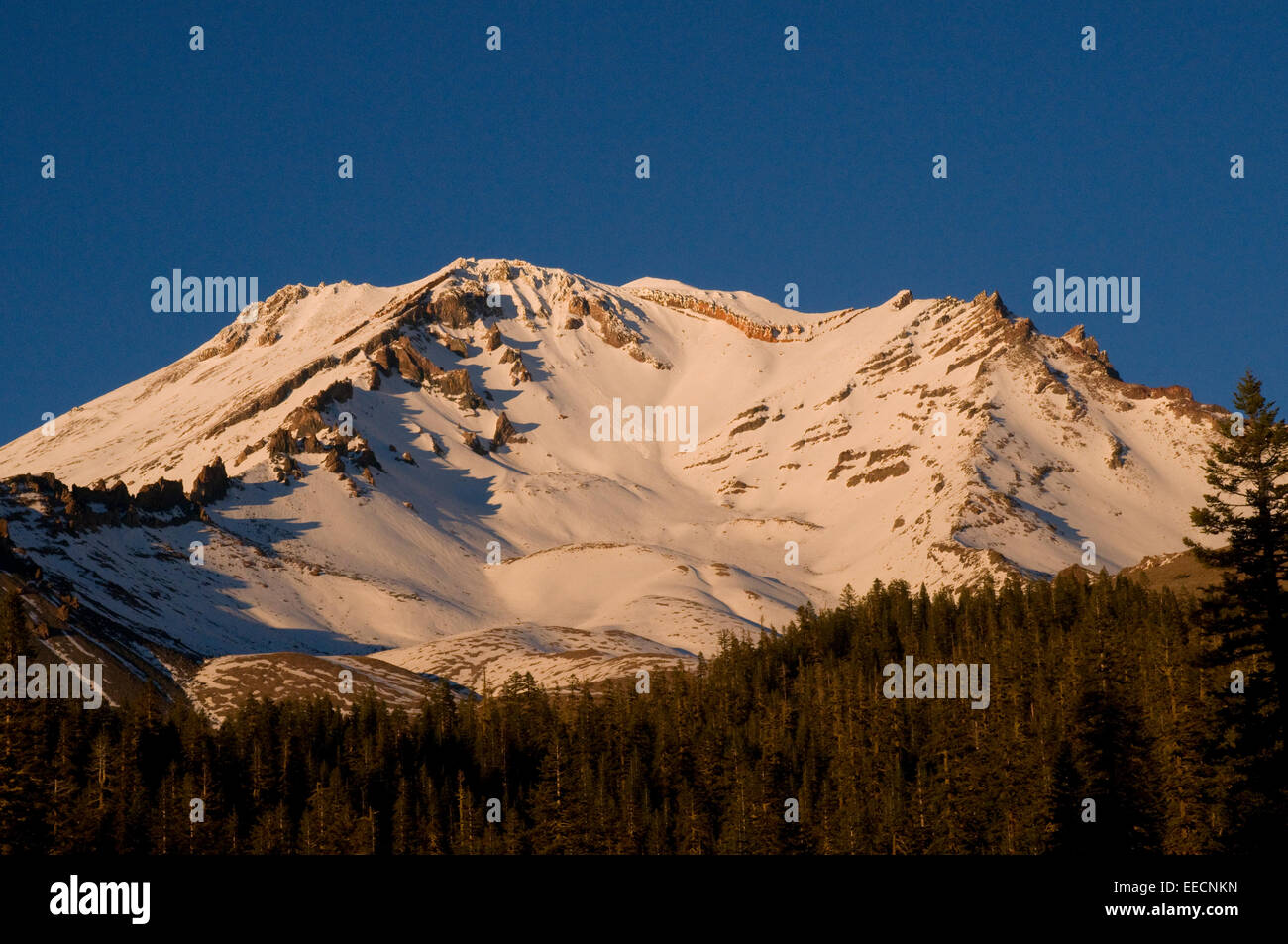 Mount Shasta bei Sonnenuntergang Kalifornien USA. Mount Shasta ist eine Stadt in Siskiyou County, Kalifornien, etwa 3.600 Fuß (1.100 m) Stockfoto