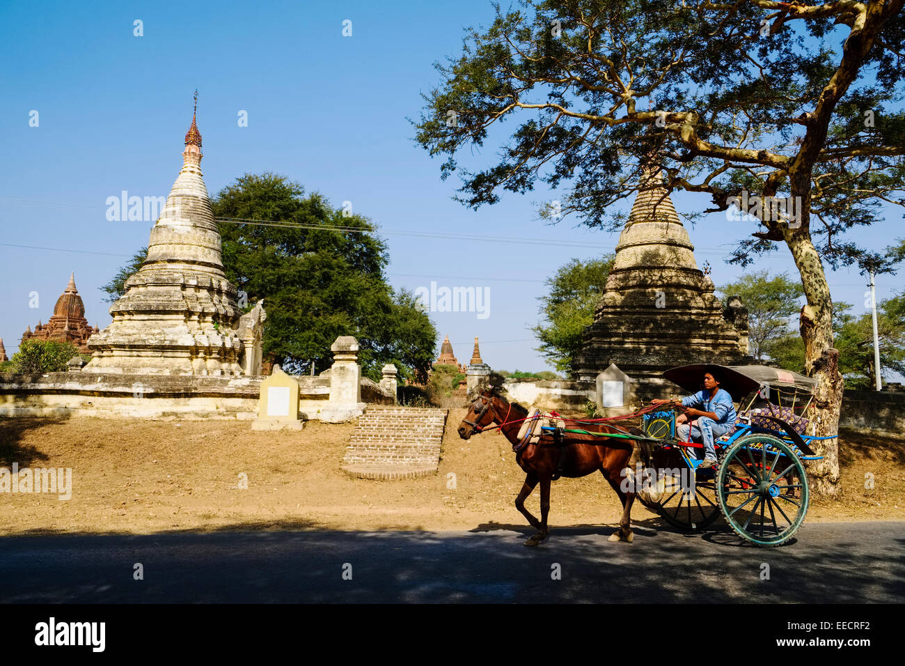 Pferdekutsche auf Straße in der Nähe von Nyaung U, Bagan, Myanmar Stockfoto