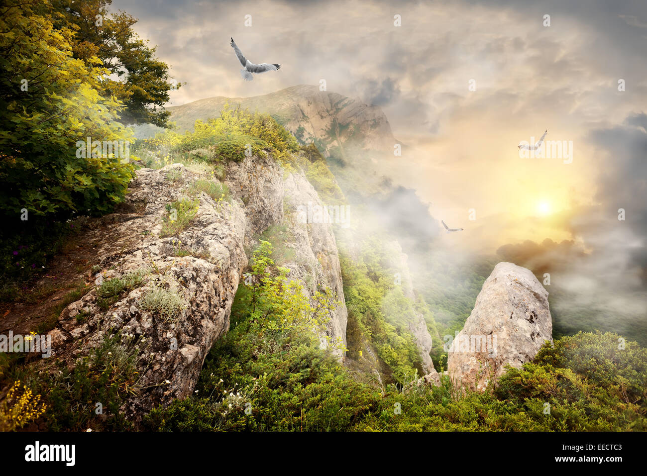 Morgennebel in den Bergen und große Vögel Stockfoto