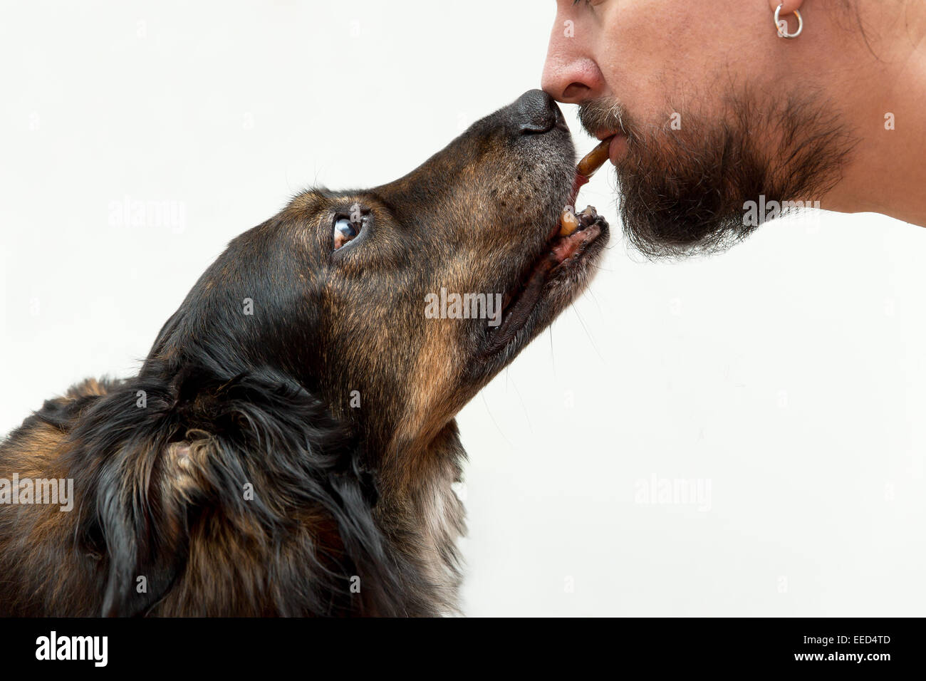 Mann Hund ein Vergnügen mit dem Mund Stockfoto
