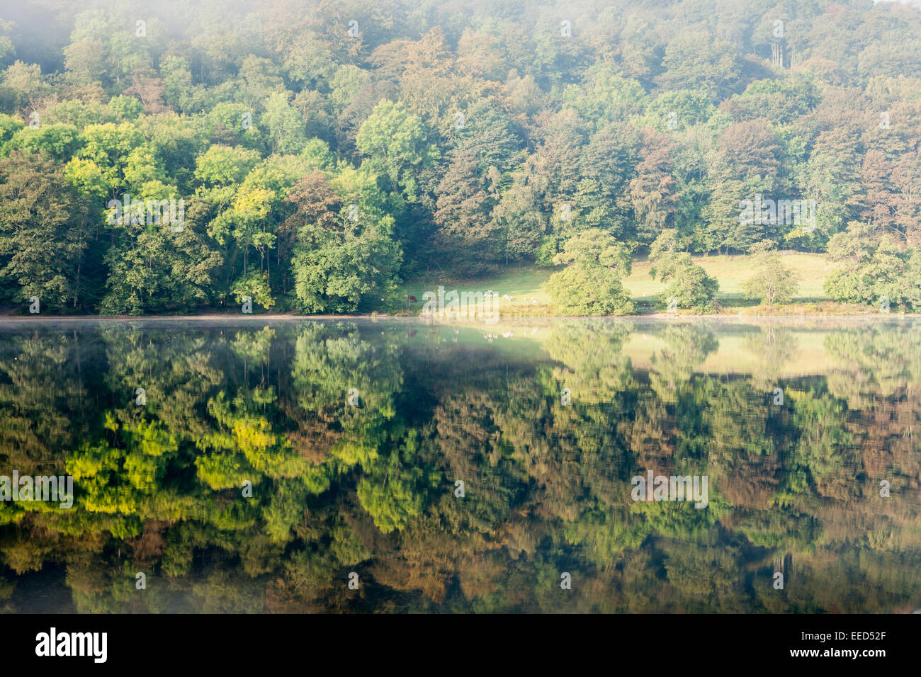 Das Stille Wasser von Grasmere im Lake District National Park, Cumbria, England. Stockfoto