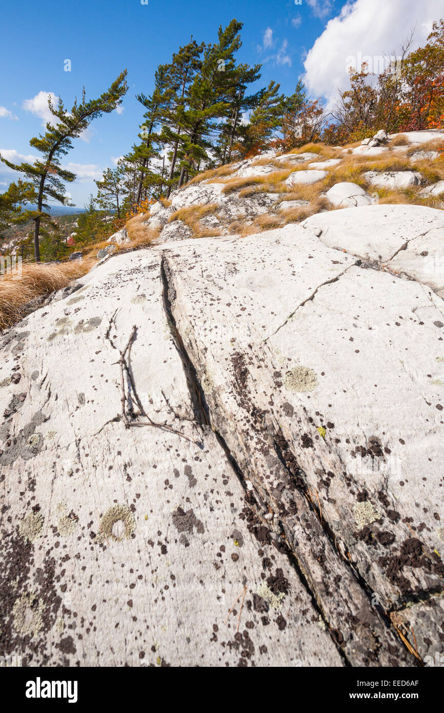 Flechten Sie bedeckt White Quarzit-Felsen in Killarney Provincial Park, Ontario, Kanada. Stockfoto