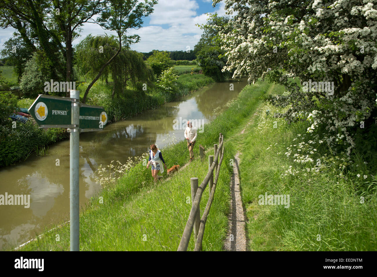 Großbritannien, England, Wiltshire, Vale of Pewsey, Wilcot, paar Kennett und Avon Kanal Leinpfad Hund spazieren Stockfoto