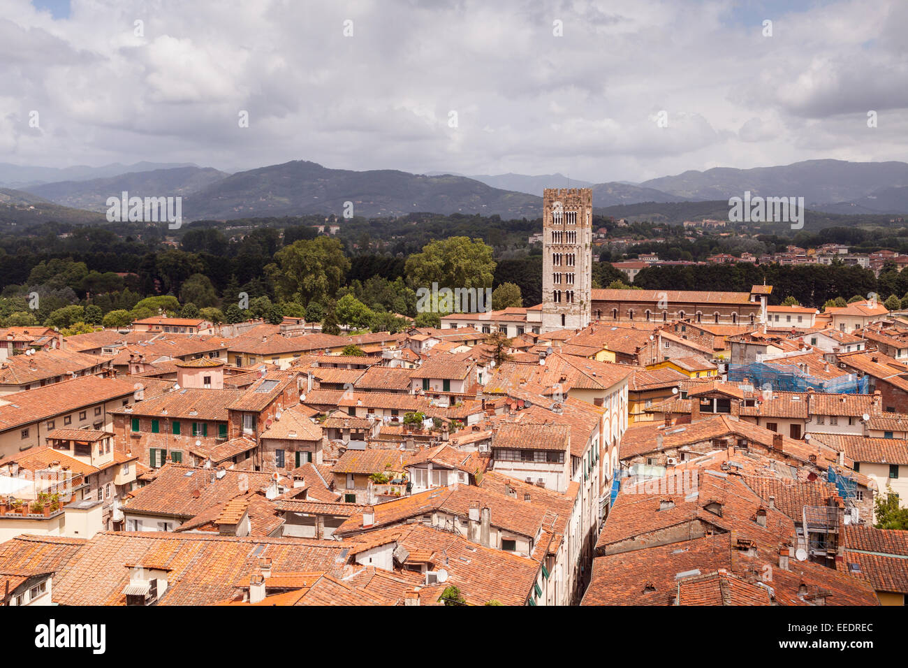 Die Dächer der Altstadt von Lucca, Italien. UNESCO hat die Altstadt Weltkulturerbe betrachtet. Stockfoto