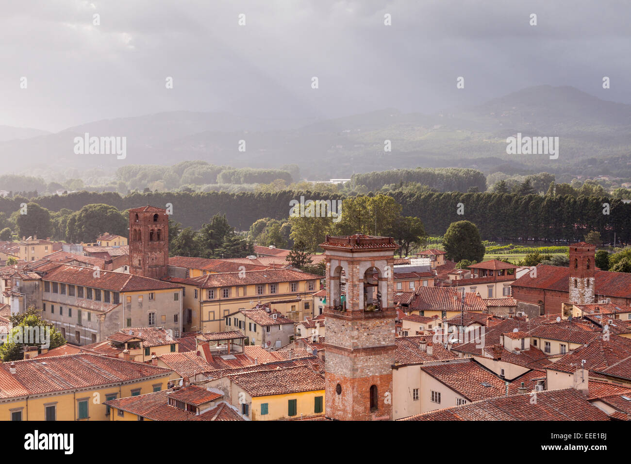 Die Dächer von historisch Zentrum von Lucca. UNESCO hat die Altstadt als Weltkulturerbe betrachtet. Stockfoto