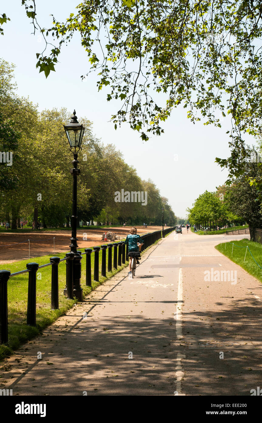 Portraitbild zeigt einen einzigen Radfahrer auf einem Radweg im Hyde Park, London. Stockfoto