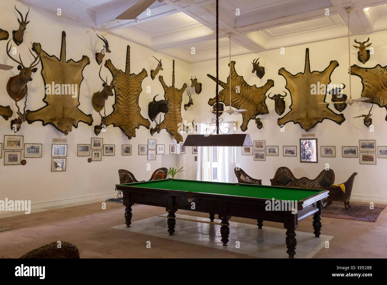 Indien, Rajasthan, Bikaner, Lalgarh Palace, snooker-Raum mit Tierhäuten an Wand. Stockfoto