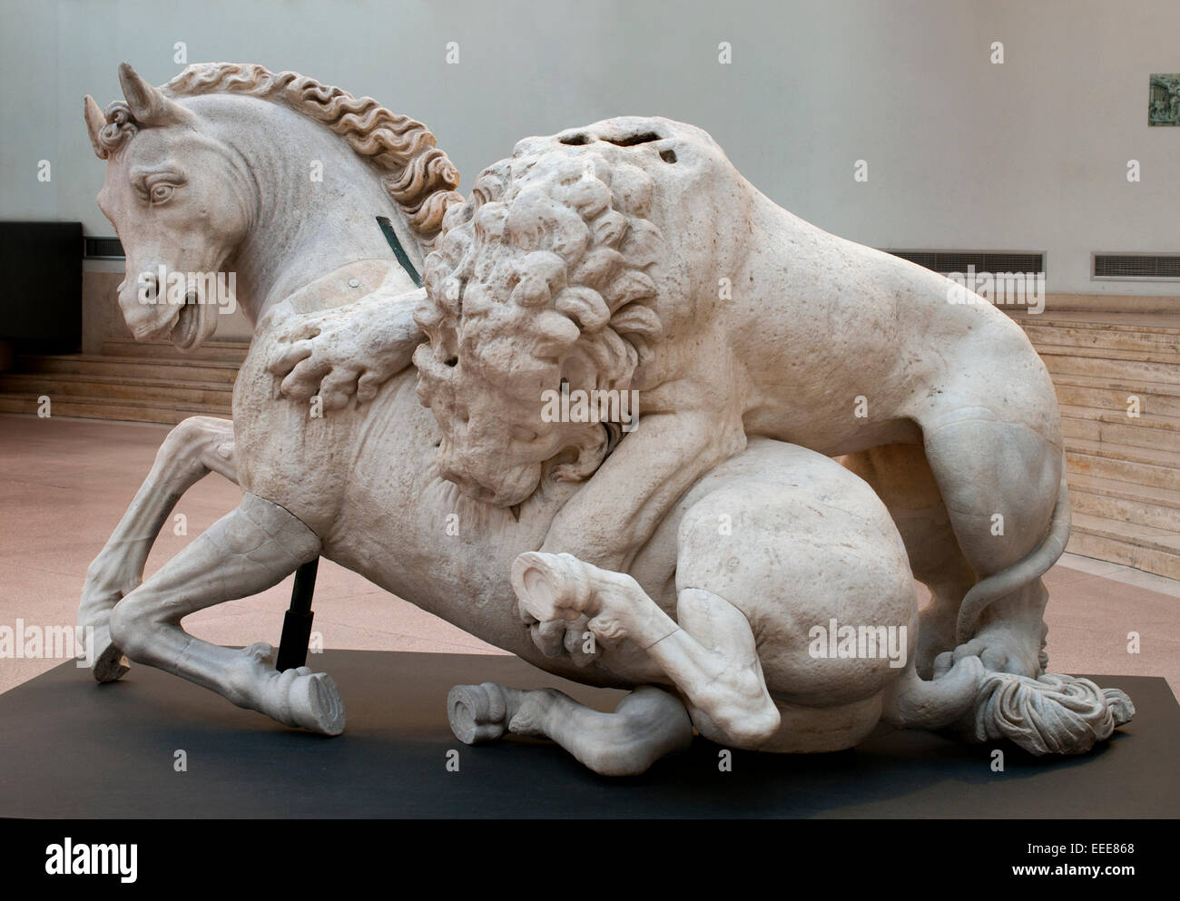 Löwe beißt das Pferd Skulptur Statuengruppe der hellenistischen 1594 Roger Bascapè, ein Schüler von Michelangelo, hinzugefügt die Kopf, Füßen und tail des Pferdes sowie die Hinterbeine des Löwen 1,42 m bis 2,40 m römischen Rom Capitoline Museum Italien Italienisch Stockfoto