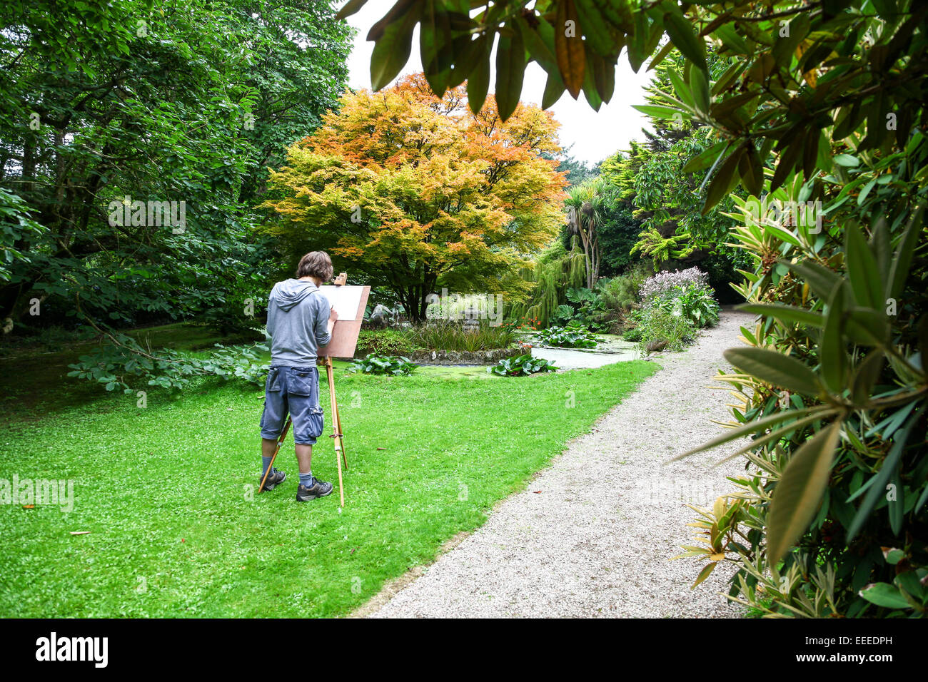 Ein junger Mann, skizzieren und malen auf einer Staffelei außerhalb am Trewidden Garten Cornwall England UK Stockfoto