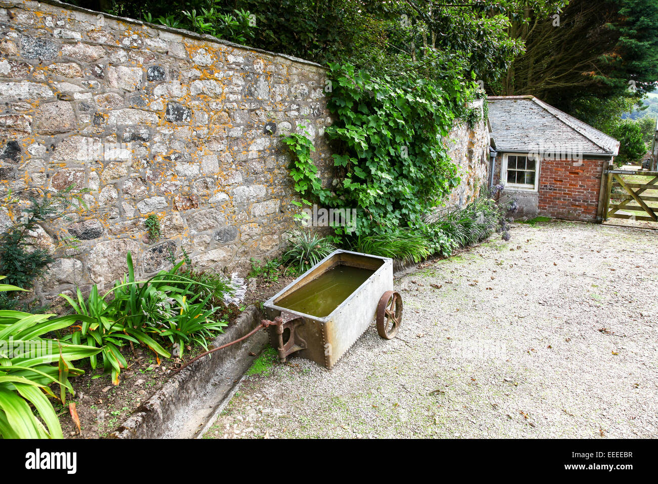 Trewidden Garten Cornwall England UK Stockfoto