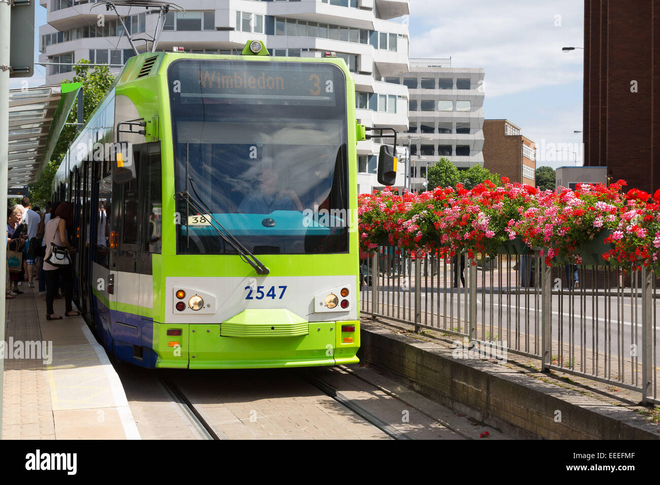 Blumen neben einer Straßenbahnlinie in Croydon Stockfoto