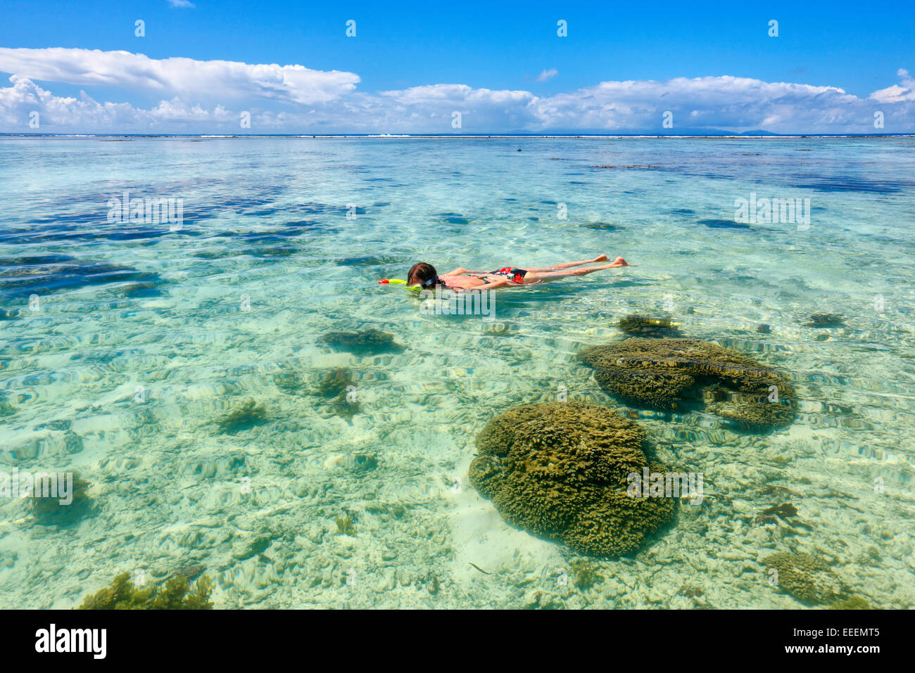 Seychellen auf Korallen schnorcheln rives, La Digue Stockfoto