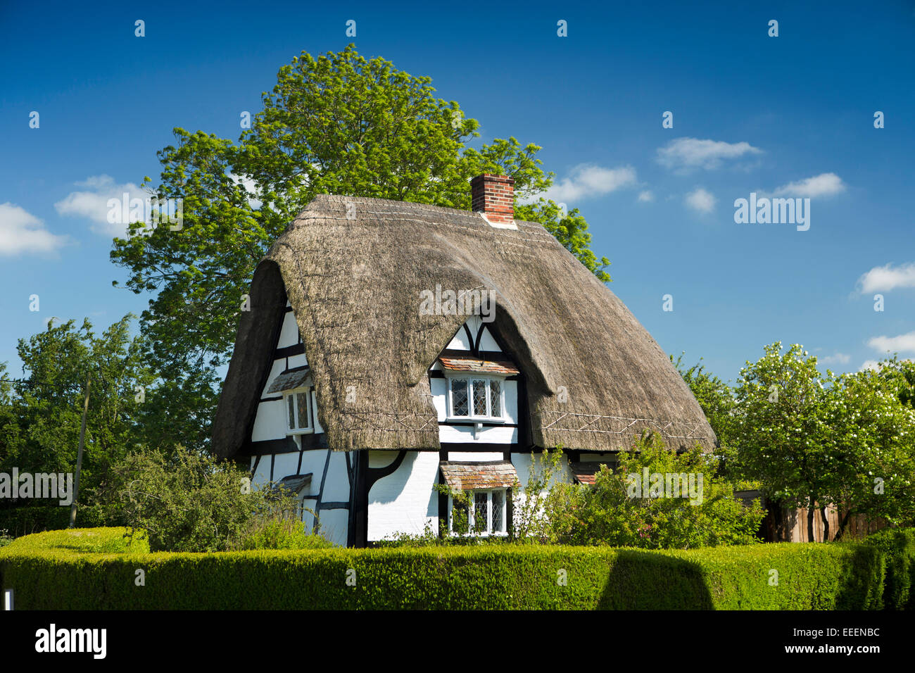 Großbritannien, England, Wiltshire, Vale of Pewsey, Bischof Cannings, idyllischen Holz gerahmt reetgedeckten Landhaus Stockfoto
