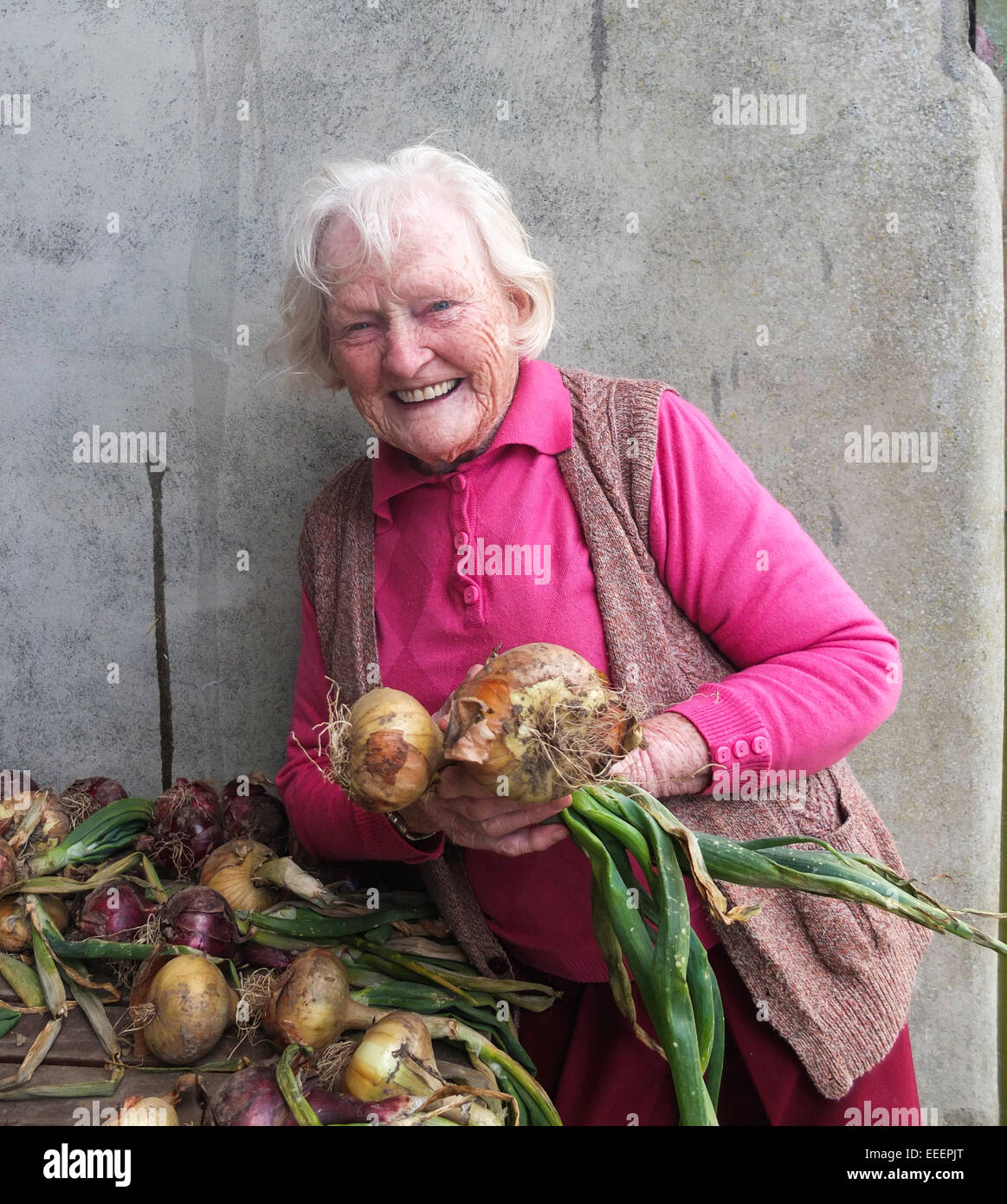 Eine ältere Dame, die ihr selbst angebauten Zwiebeln halten Stockfoto